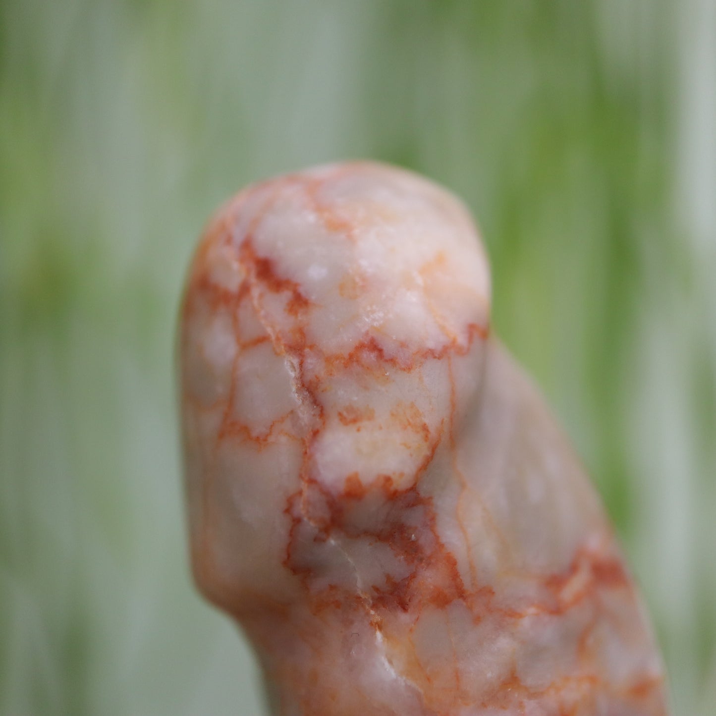 Penis man