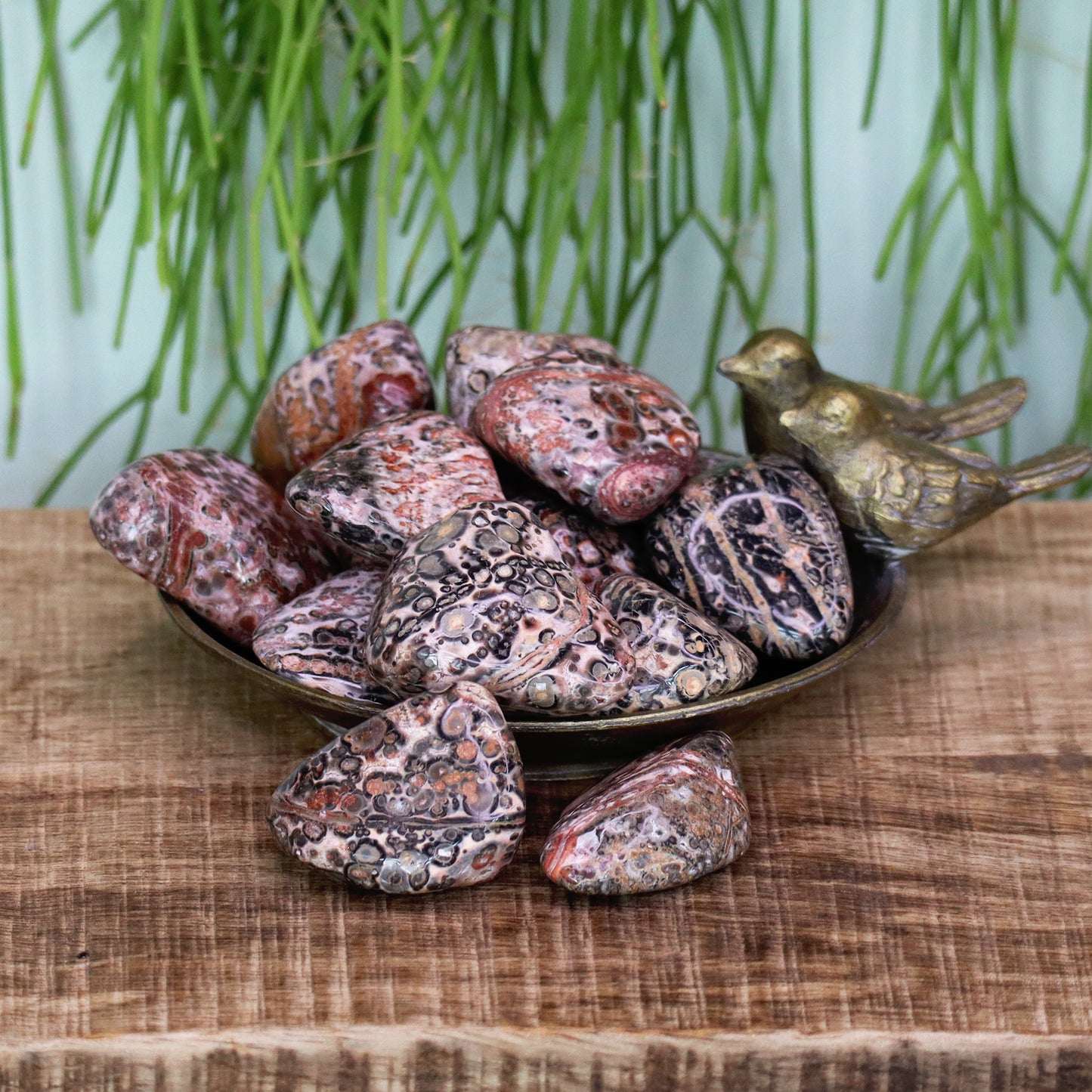 Leopard Skin Jasper