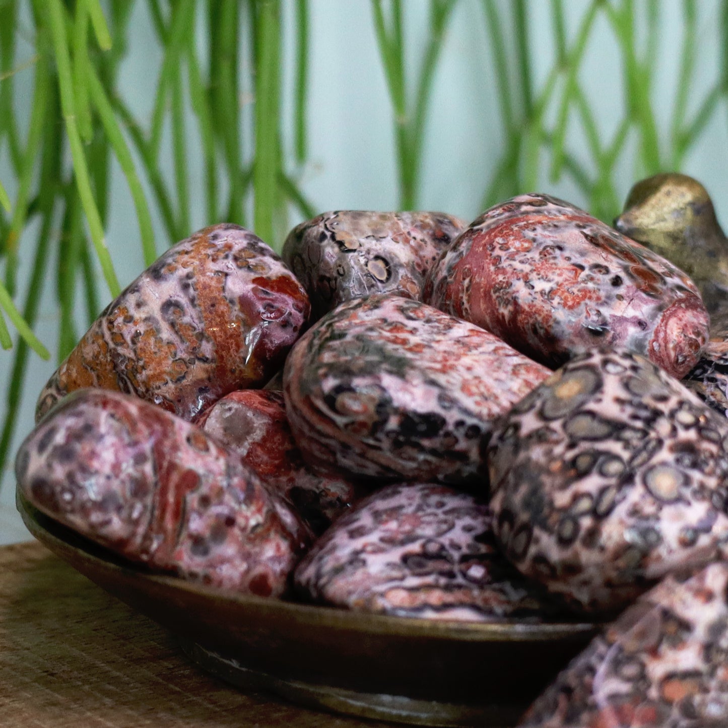 Leopard Skin Jasper