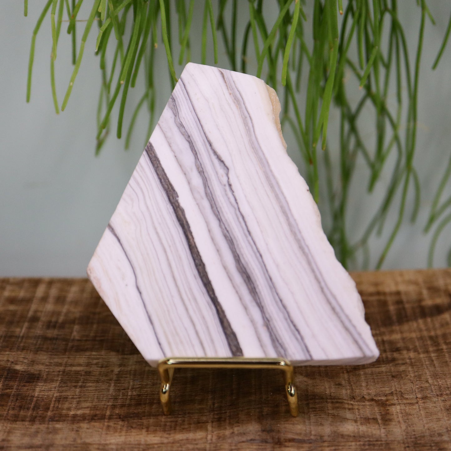 Zebra calciet