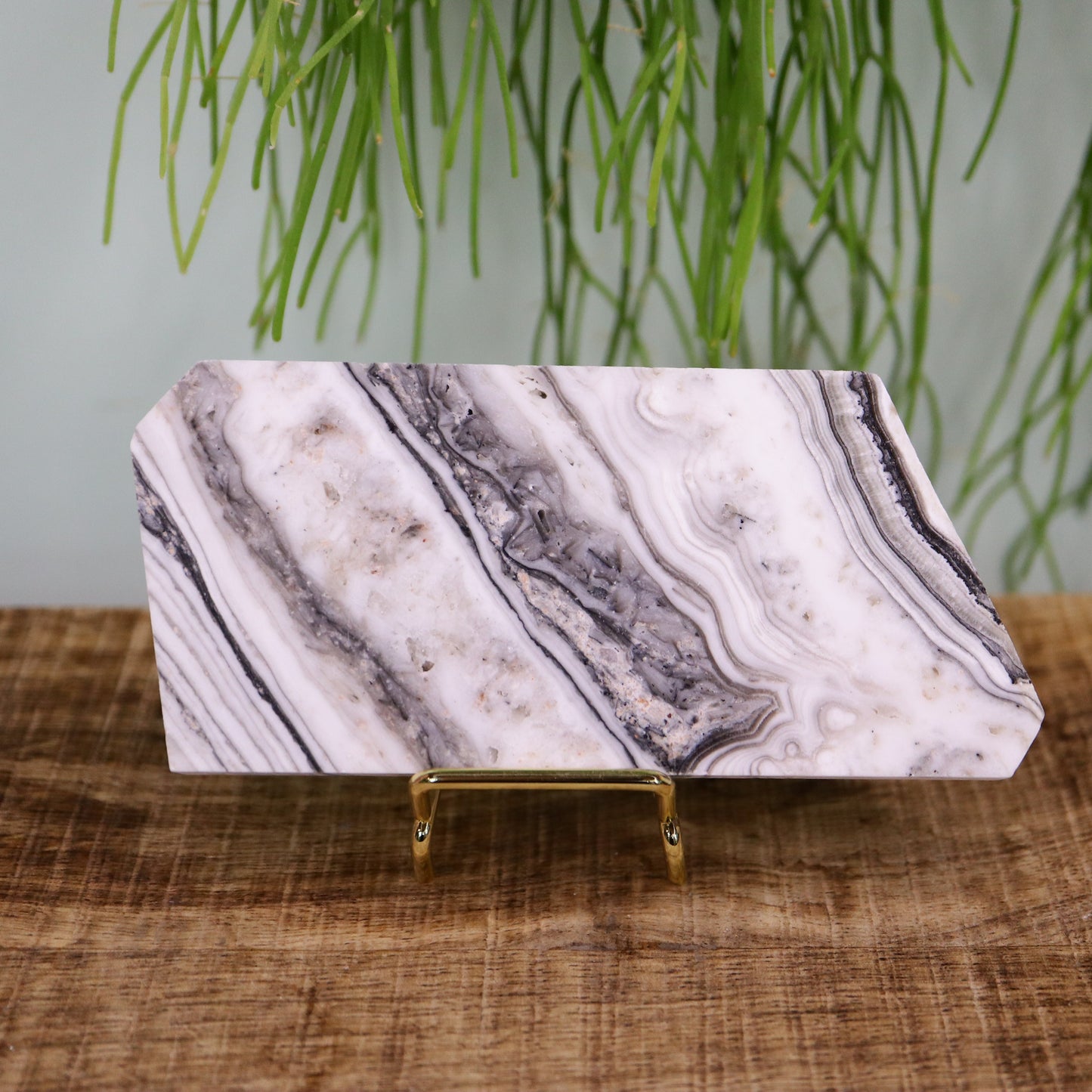 Zebra calciet