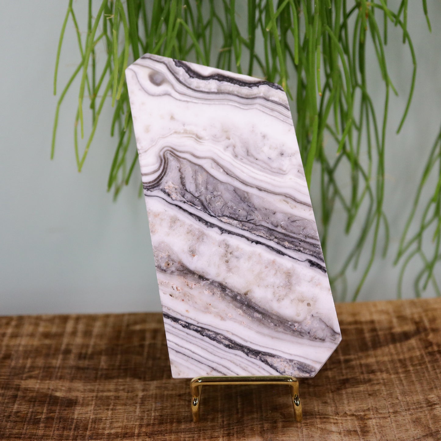 Zebra calciet