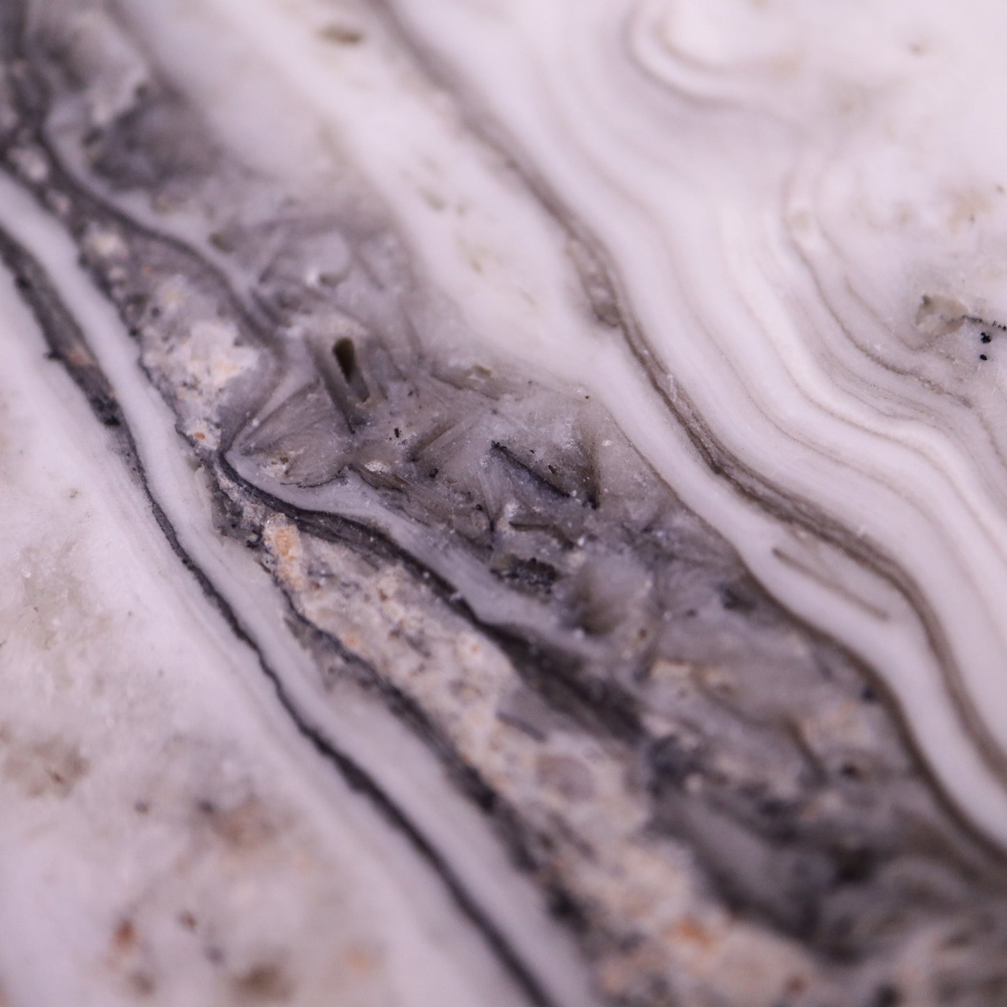 Zebra calciet