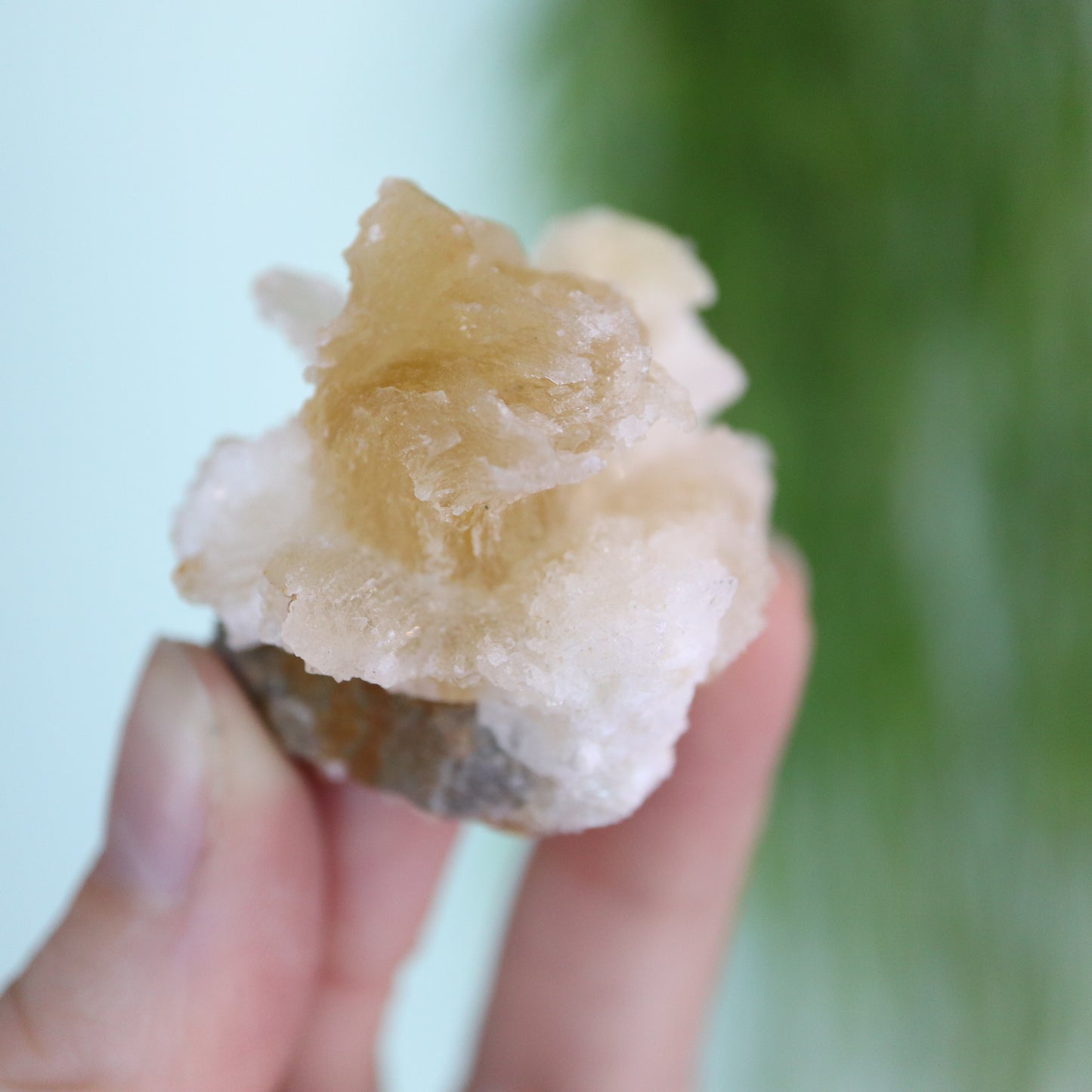 Gypsum var. Rams horn