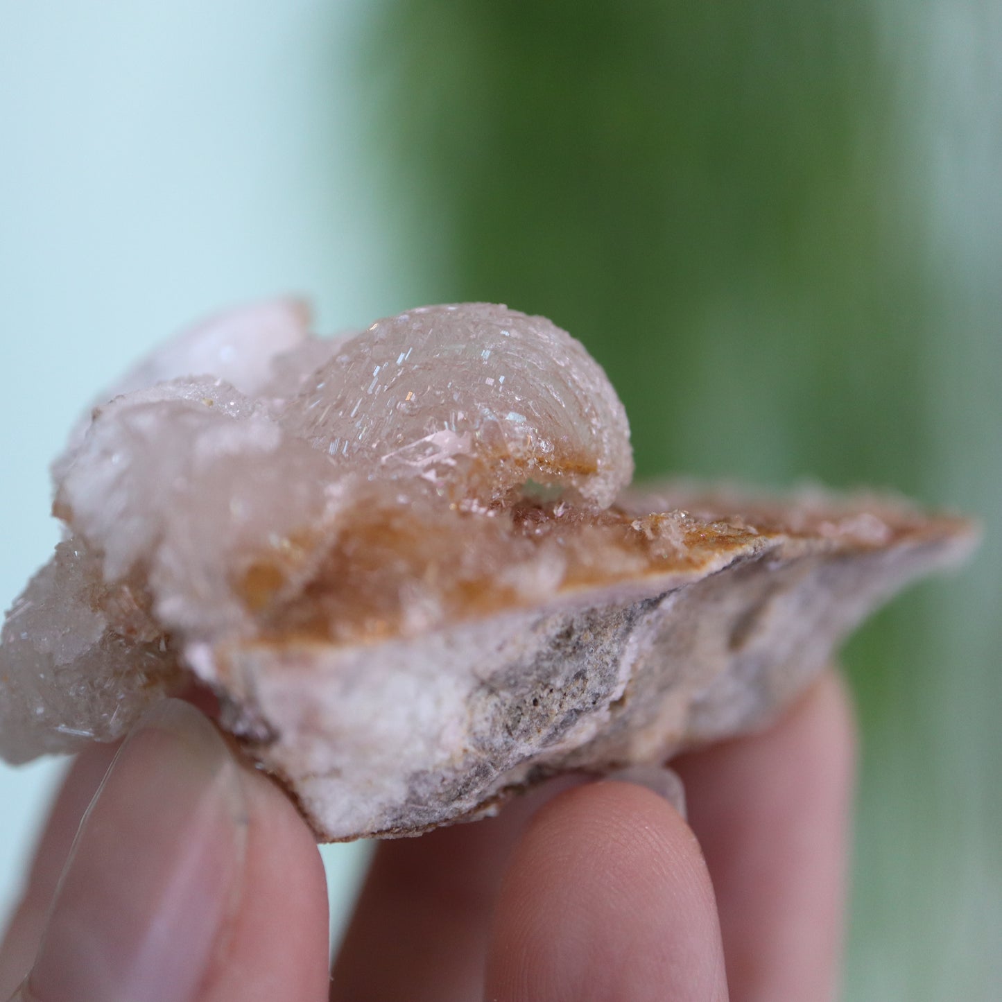 Gypsum var. Rams horn