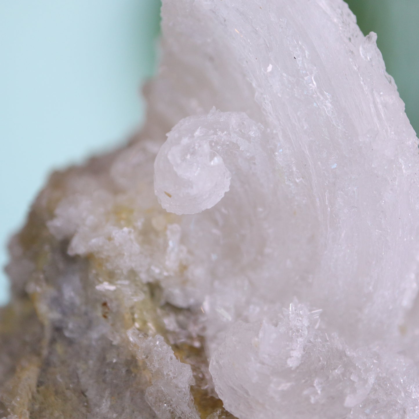 Gypsum var. Rams horn