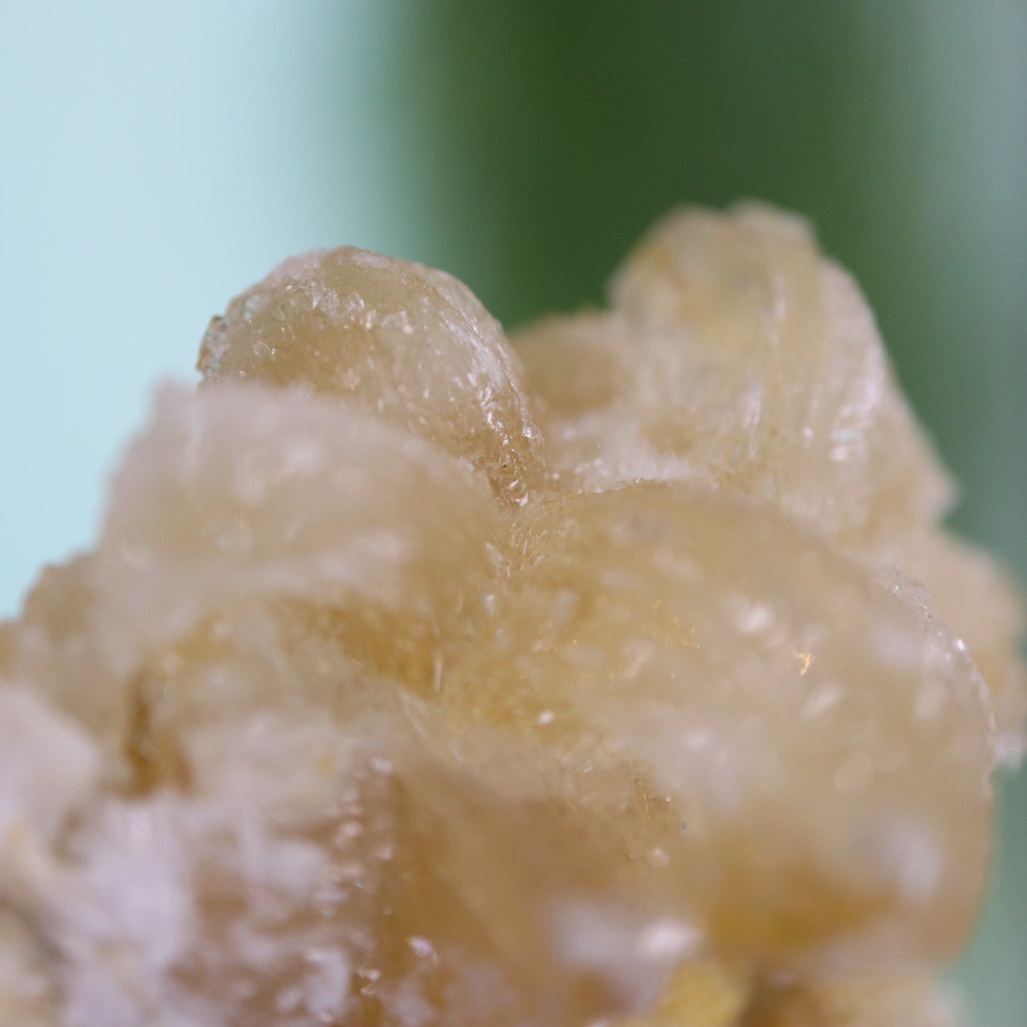 Gypsum var. Rams horn