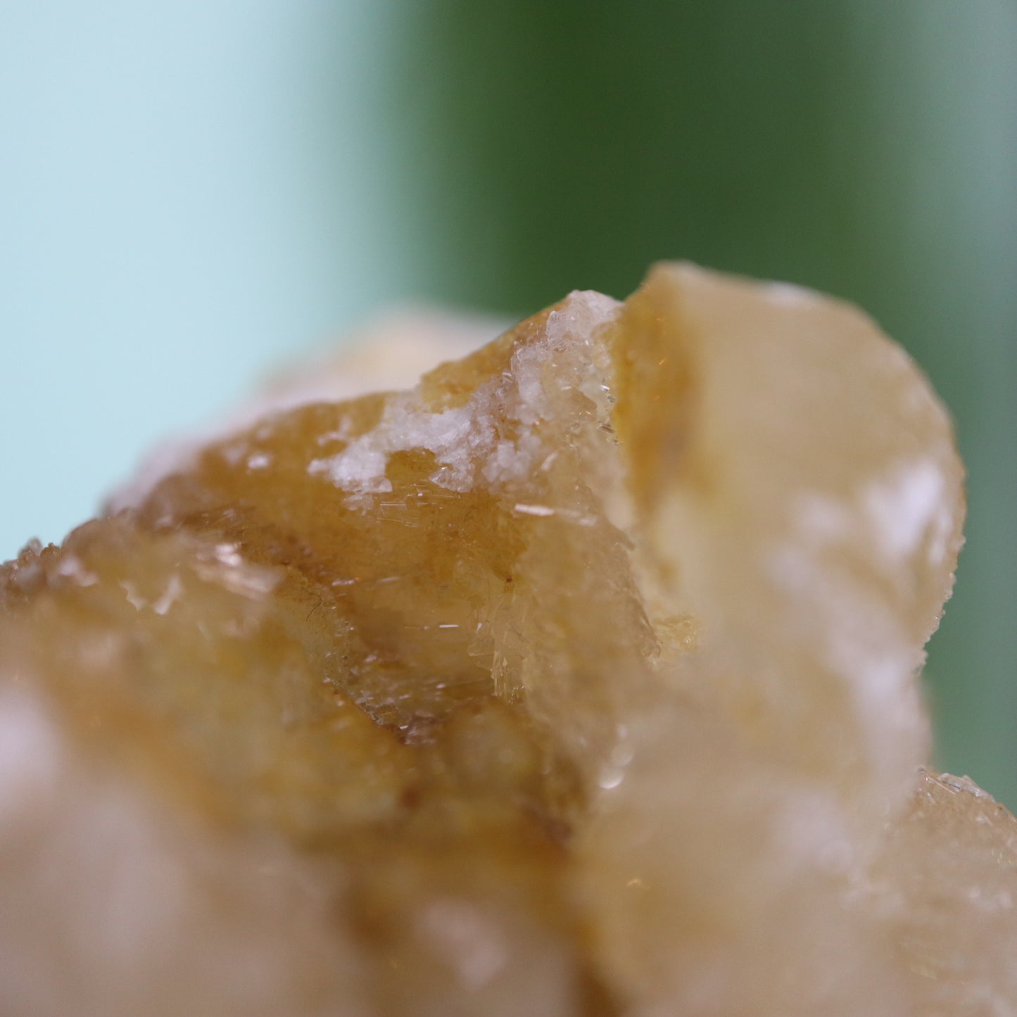 Gypsum var. Rams horn