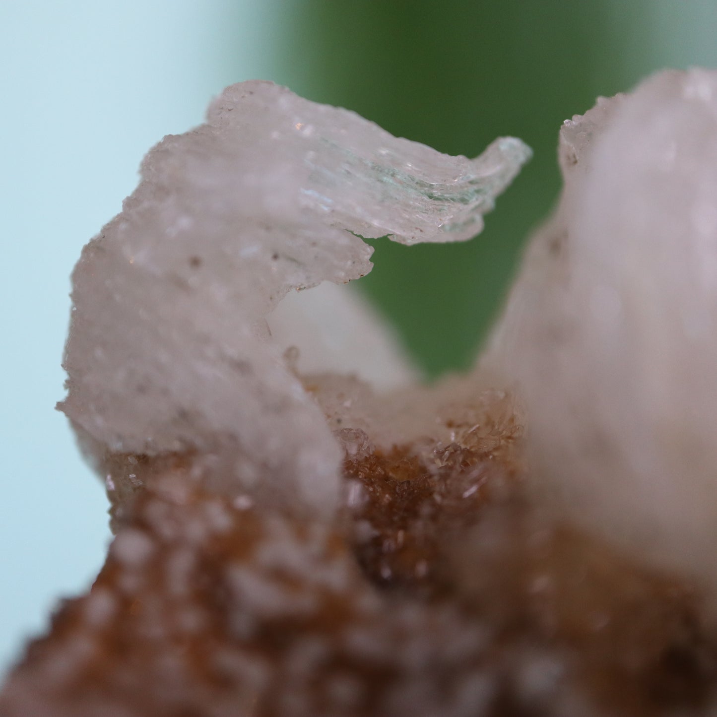 Gypsum var. Rams horn