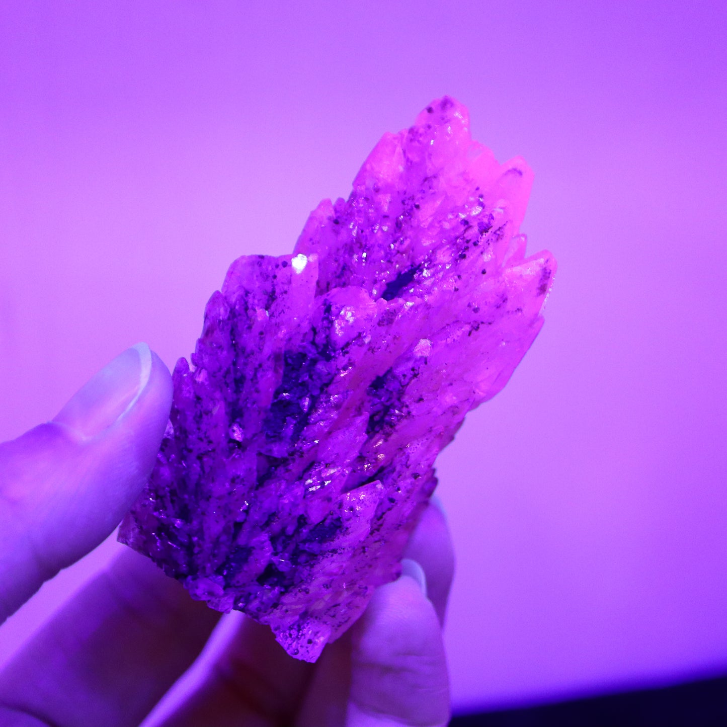 Feather calciet met pyriet UV