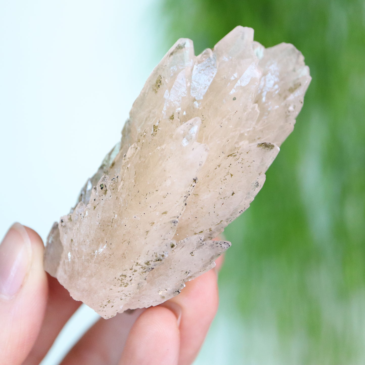 Feather calciet met pyriet UV