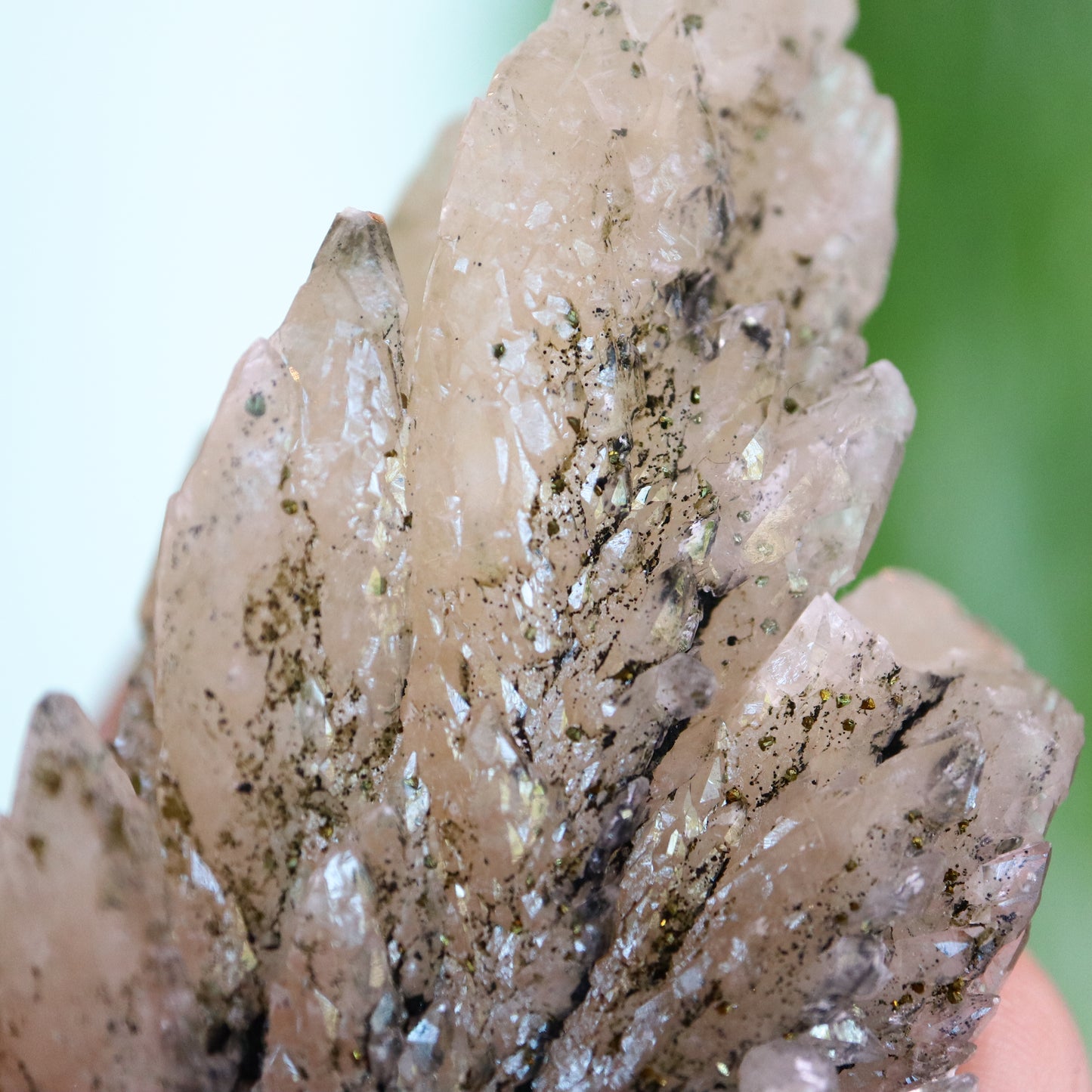 Feather calciet met pyriet UV