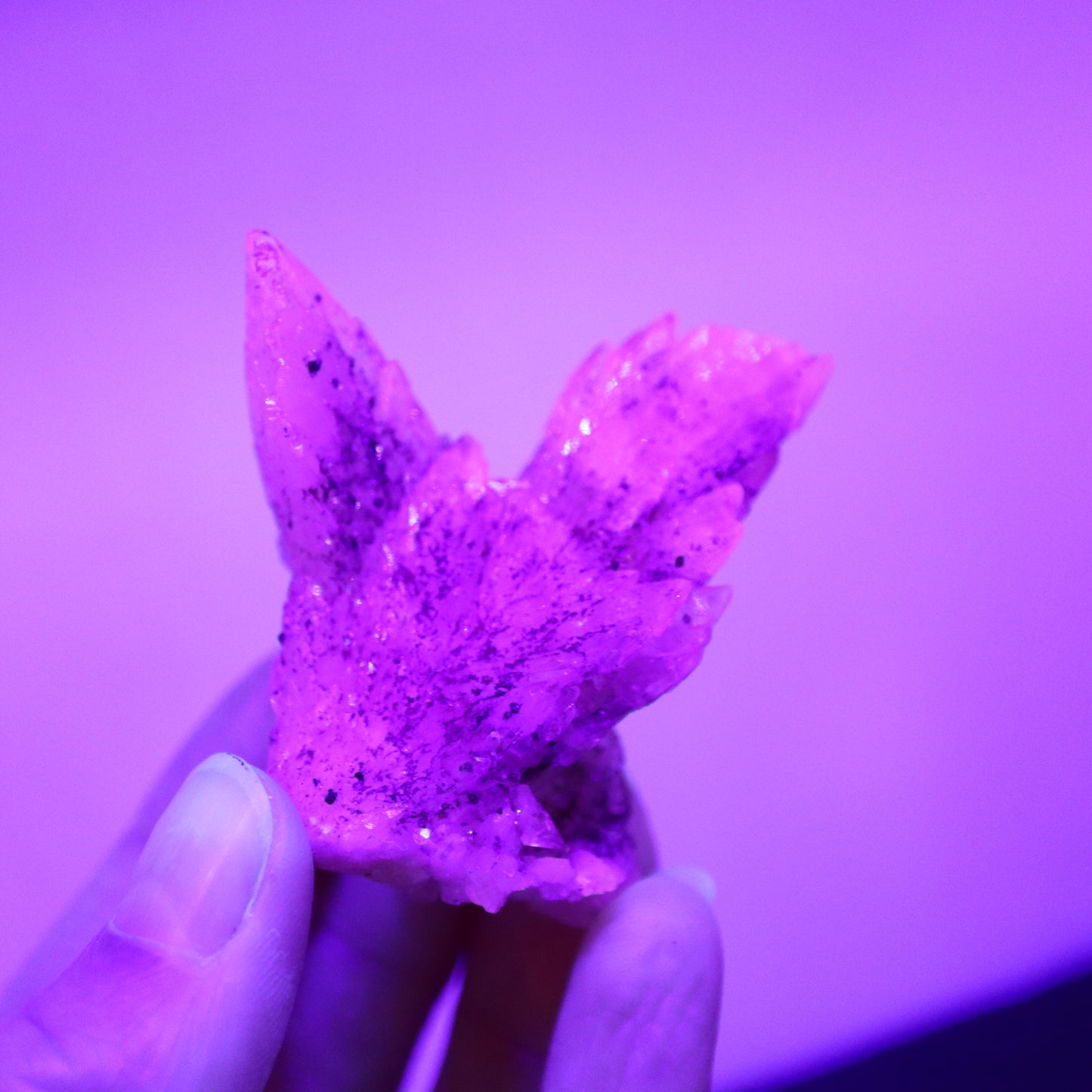 Feather calciet met pyriet UV