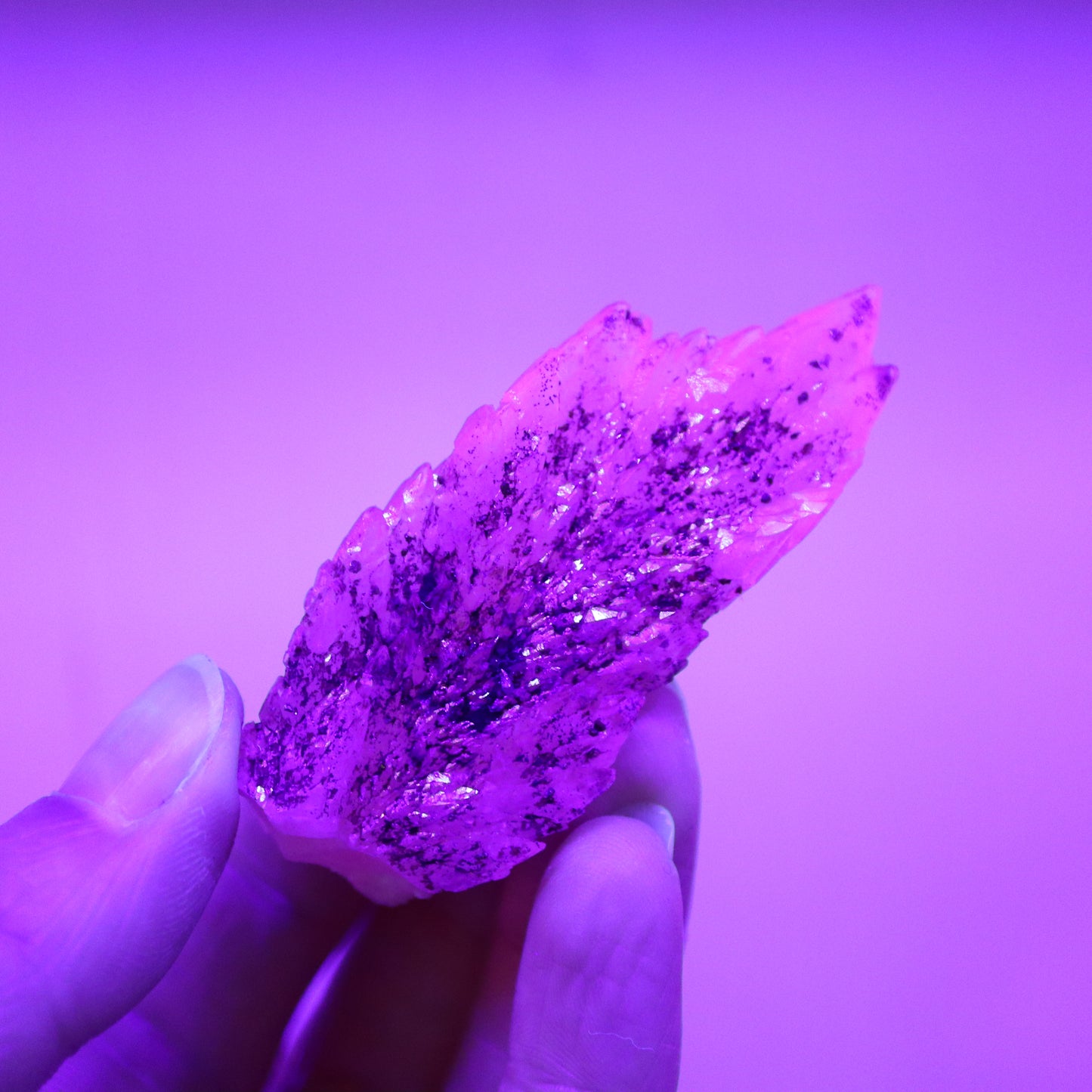 Feather calciet met pyriet UV