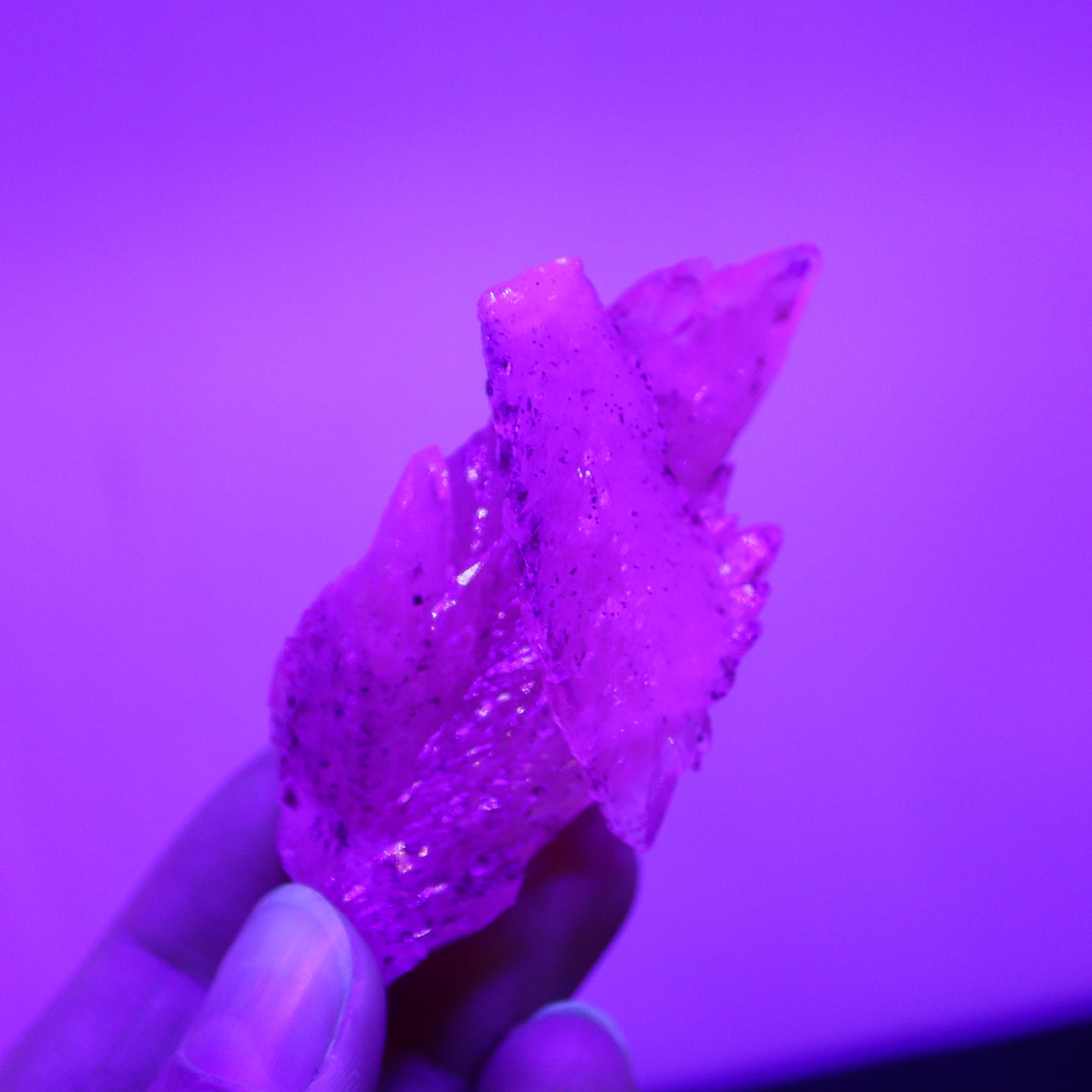 Feather calciet met pyriet UV