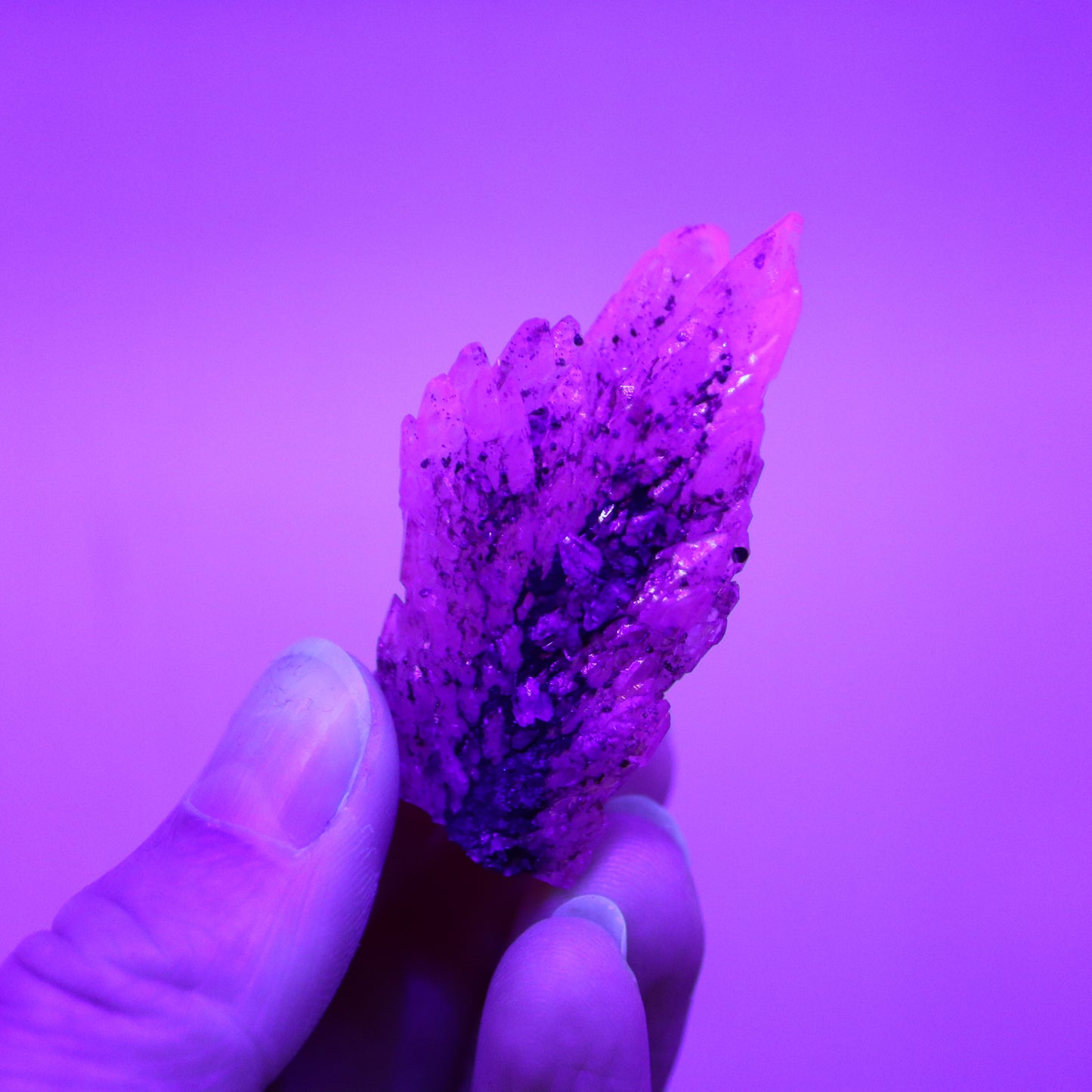 Feather calciet met pyriet UV