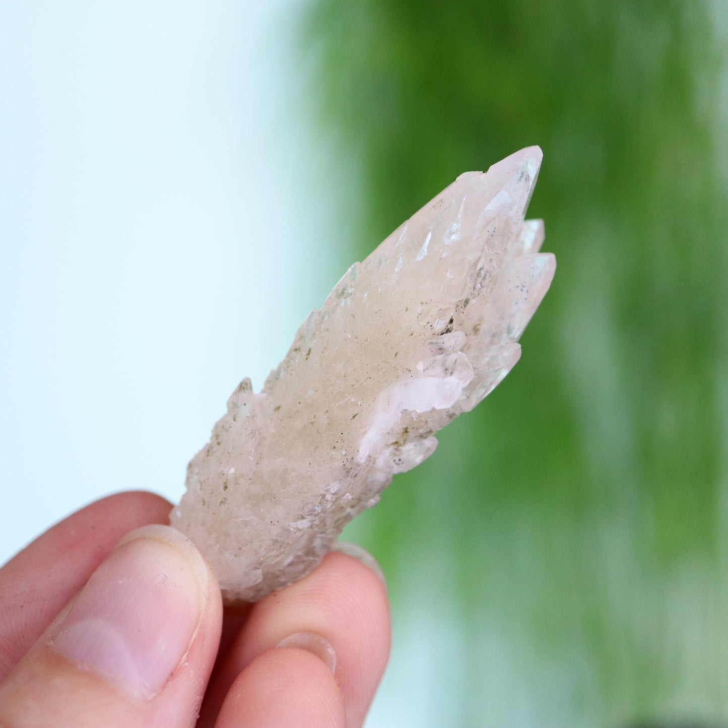 Feather calciet met pyriet UV