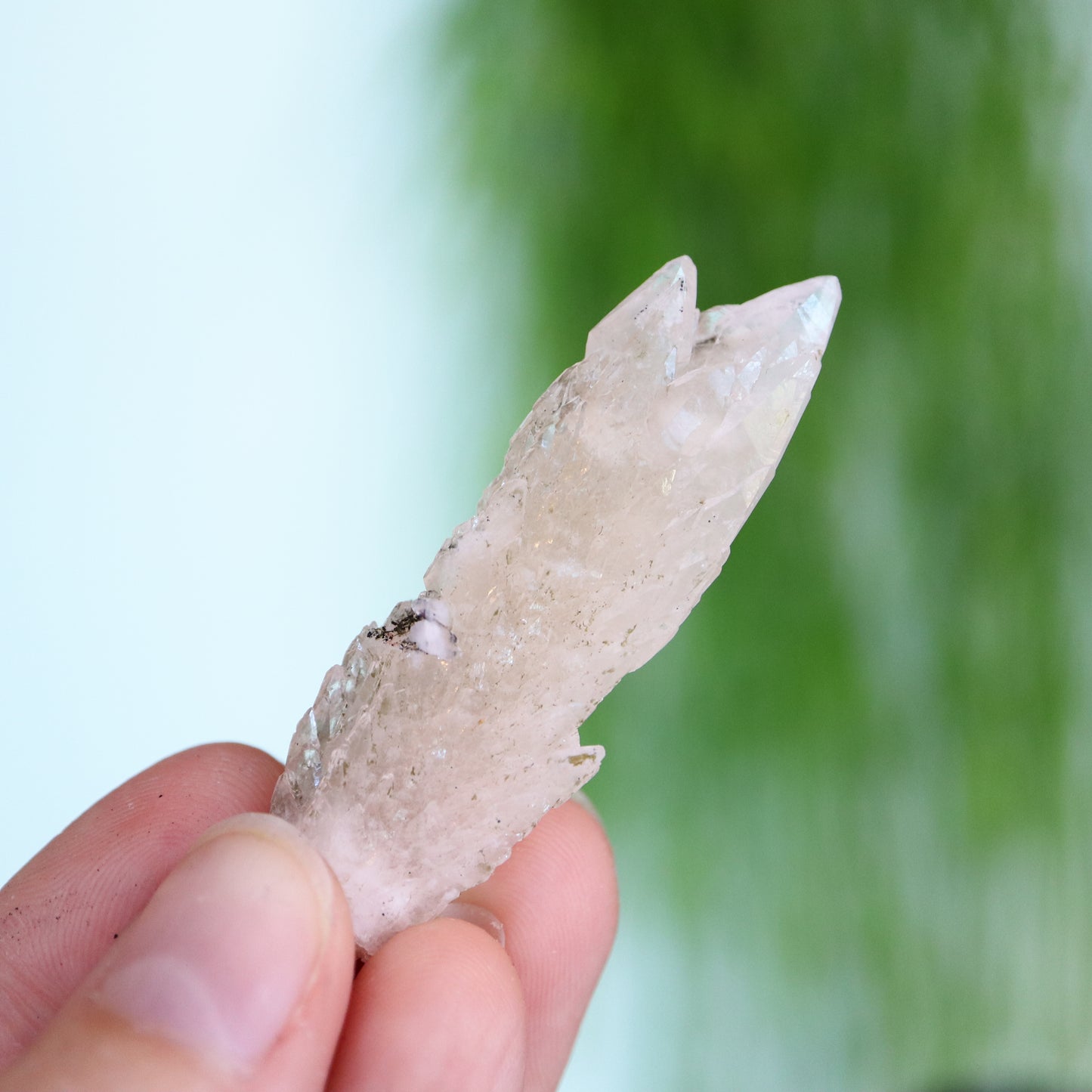 Feather calciet met pyriet UV