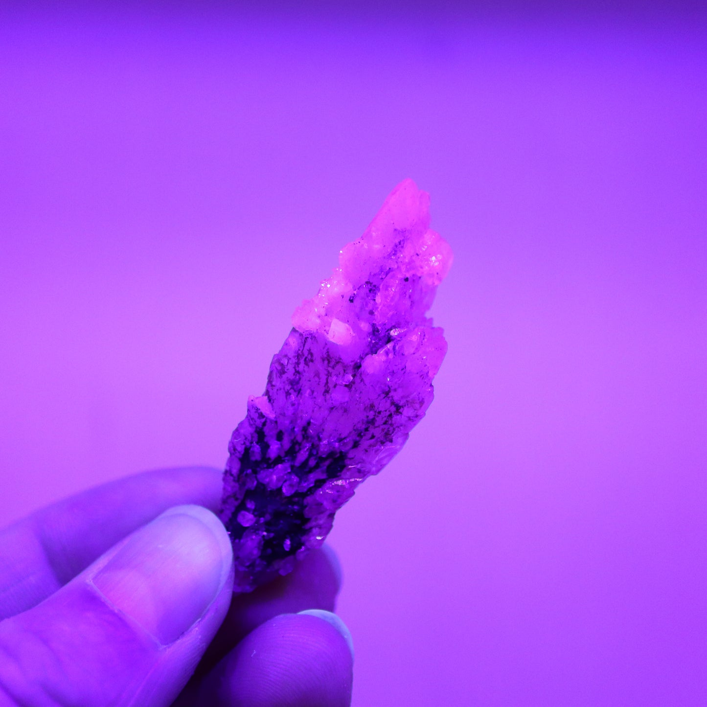 Feather calciet met pyriet UV