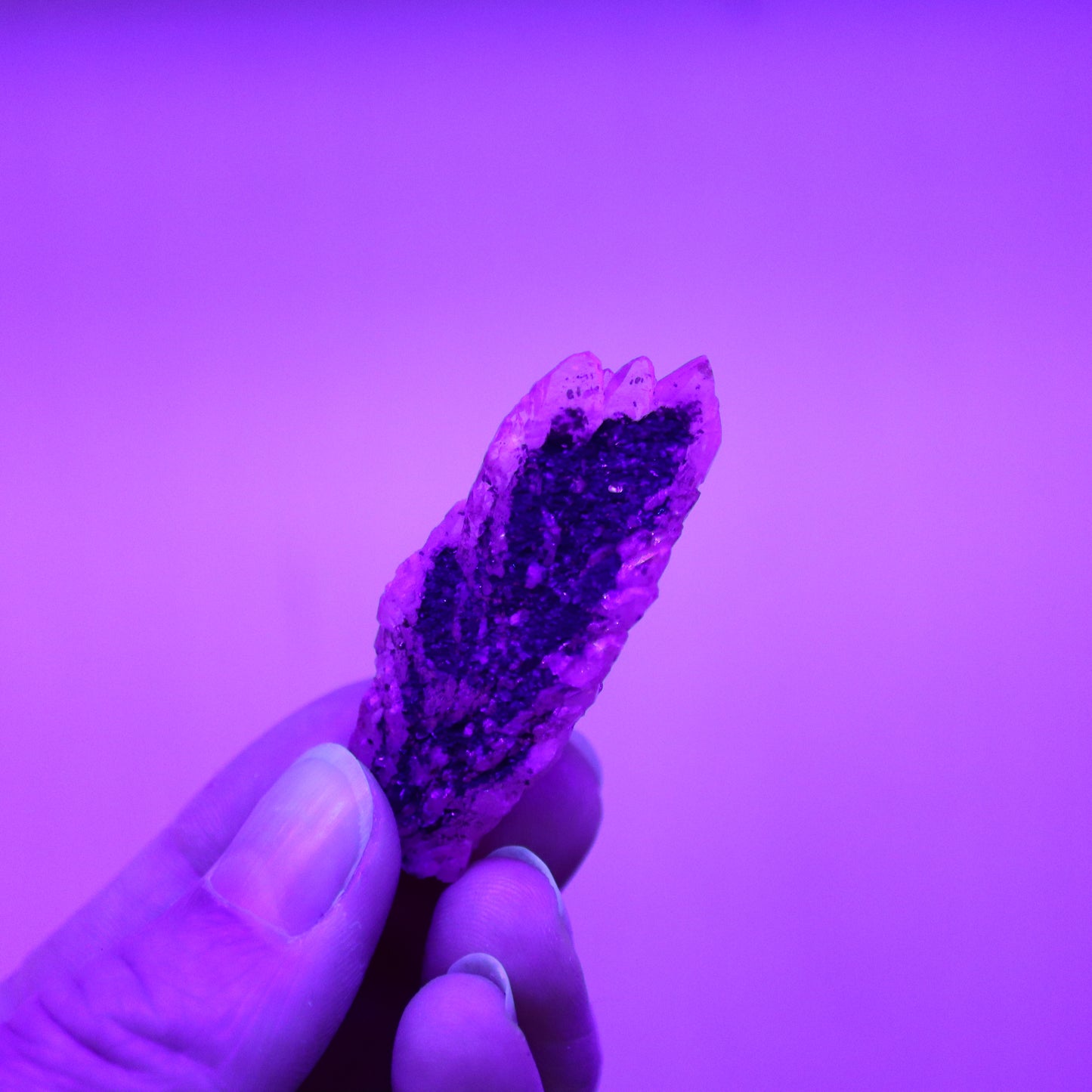 Feather calciet met pyriet UV