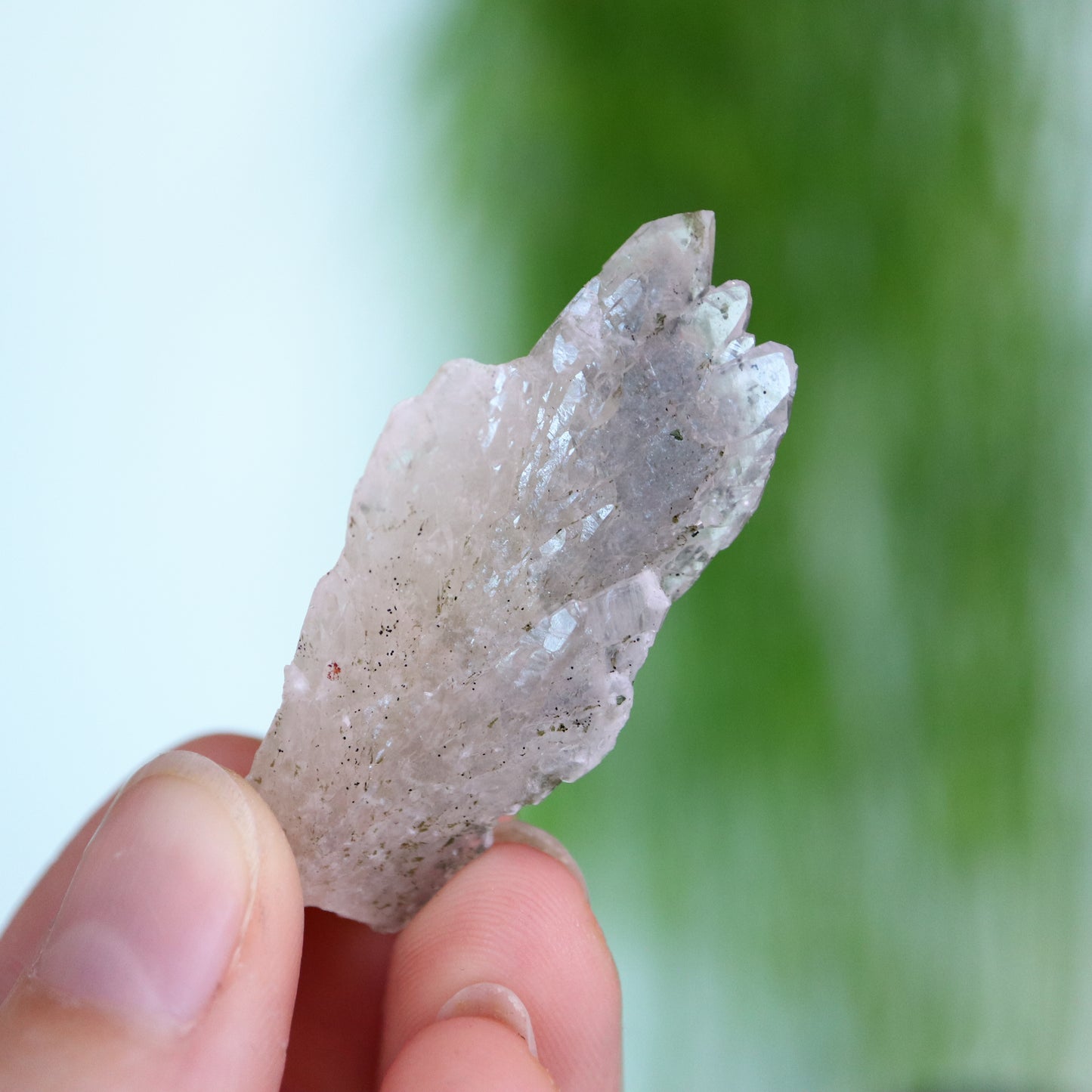 Feather calciet met pyriet UV