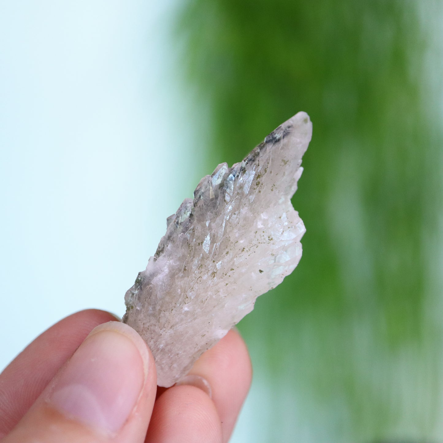 Feather calciet met pyriet UV