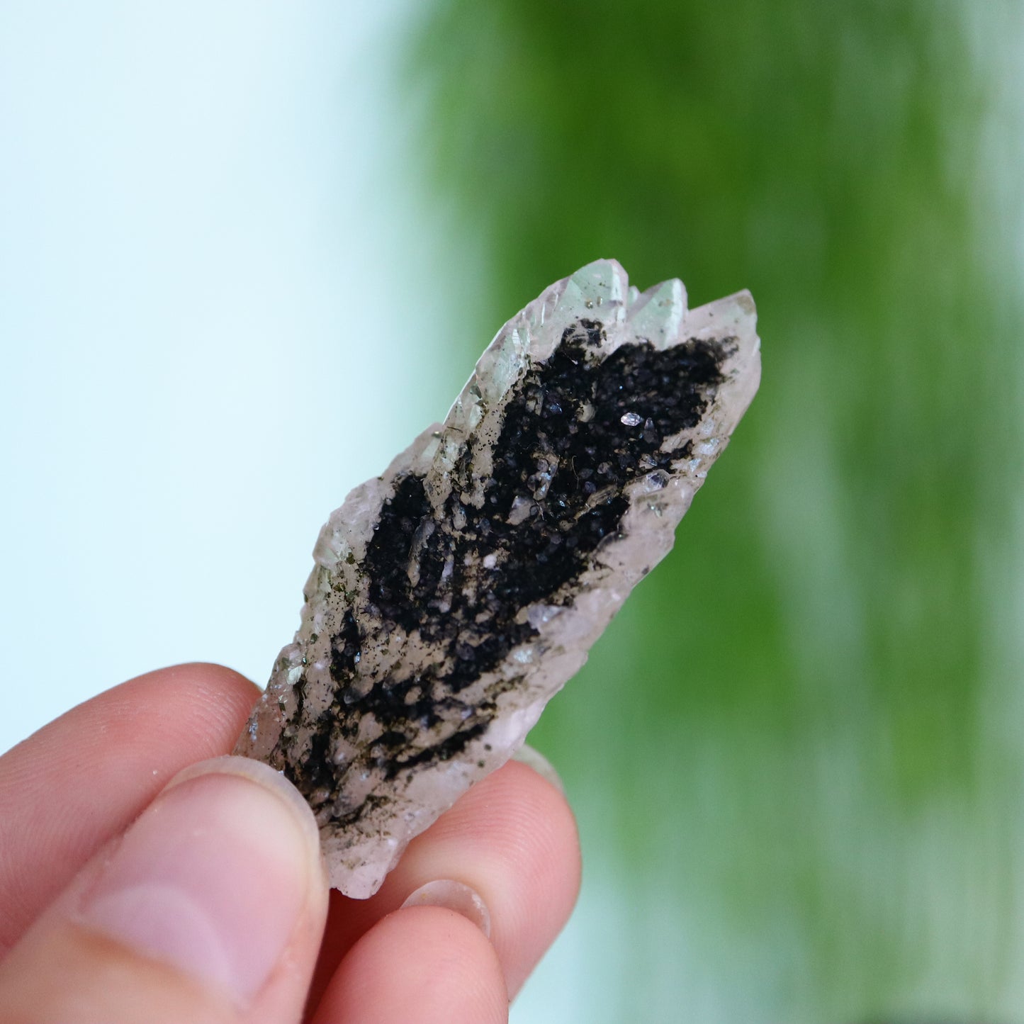 Feather calciet met pyriet UV