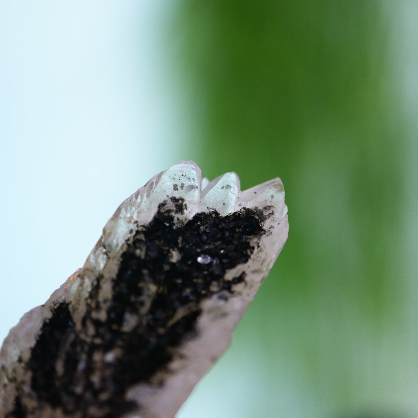 Feather calciet met pyriet UV