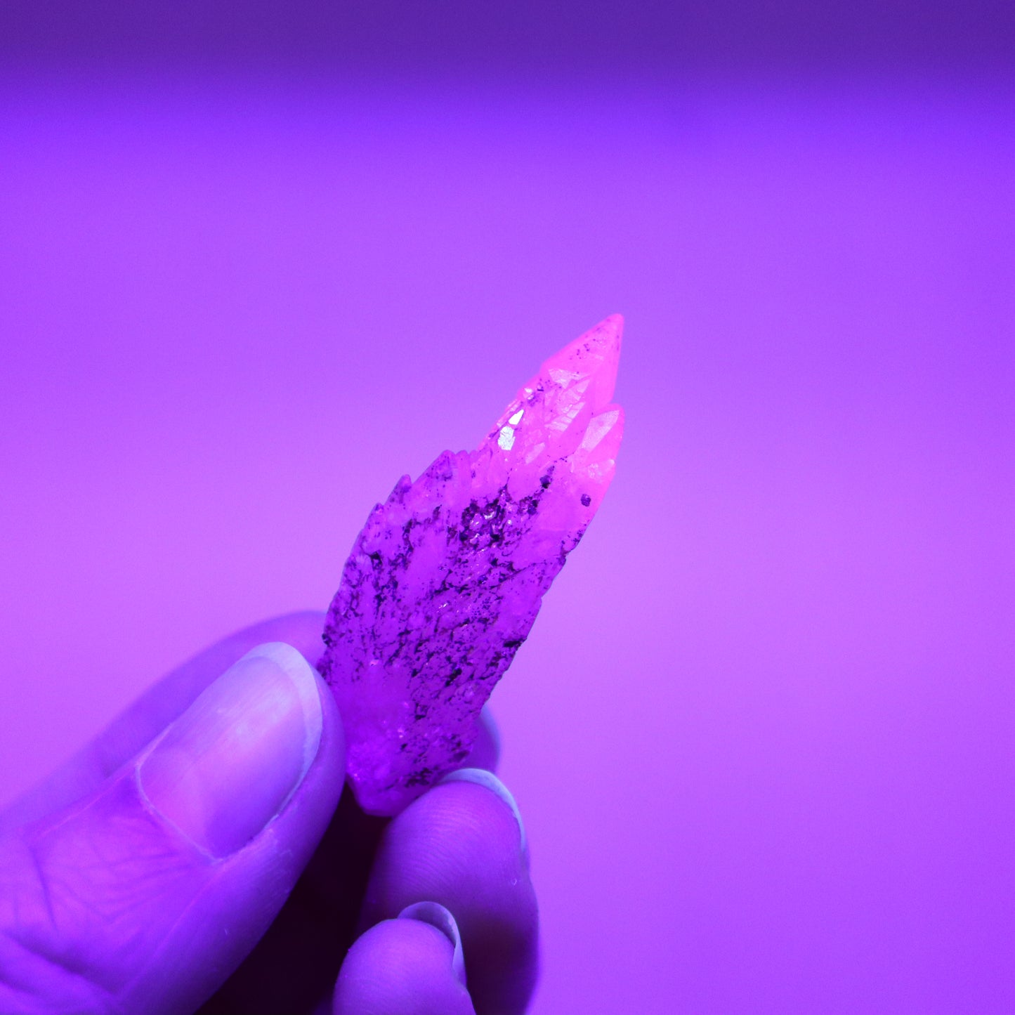 Feather calciet met pyriet UV