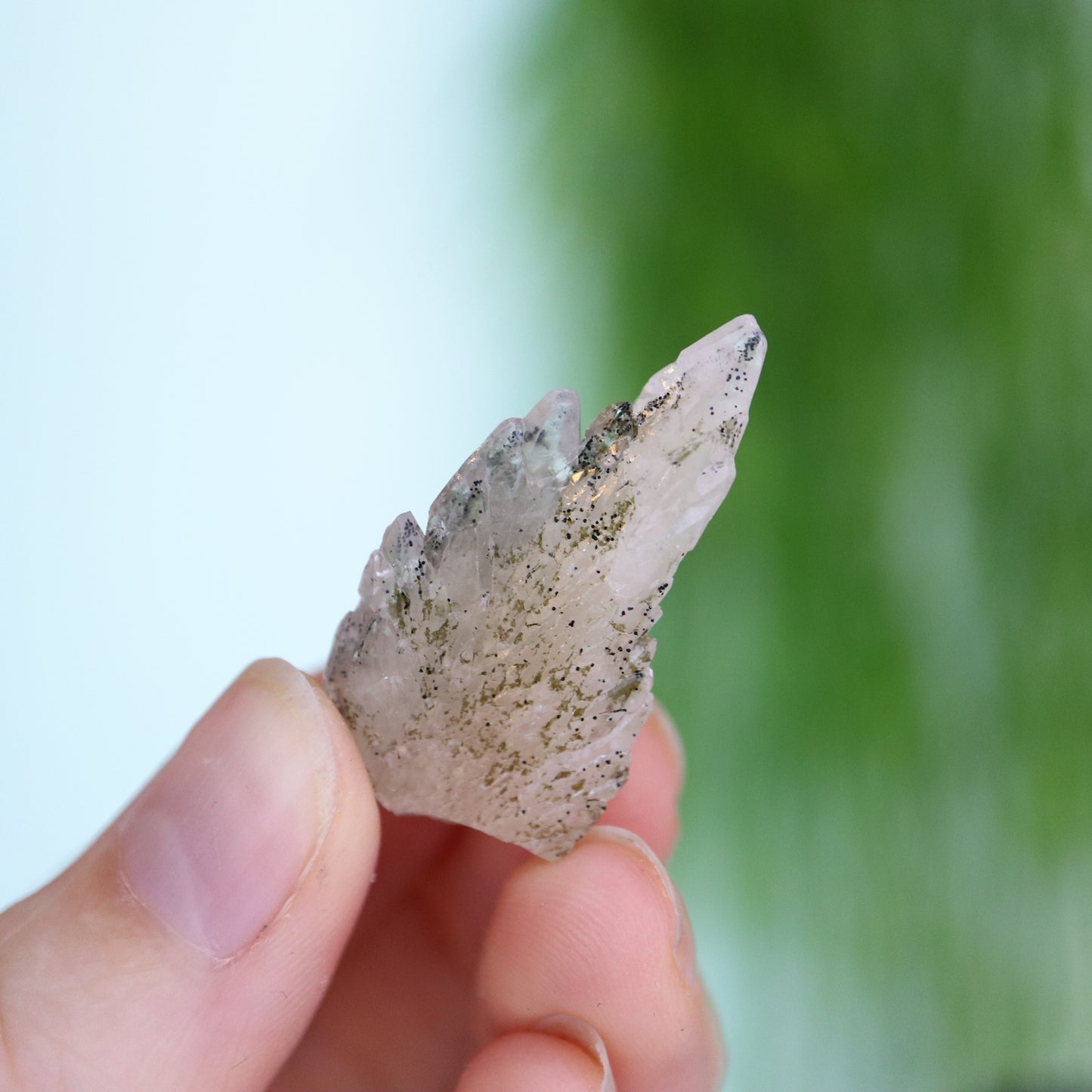Feather calciet met pyriet UV