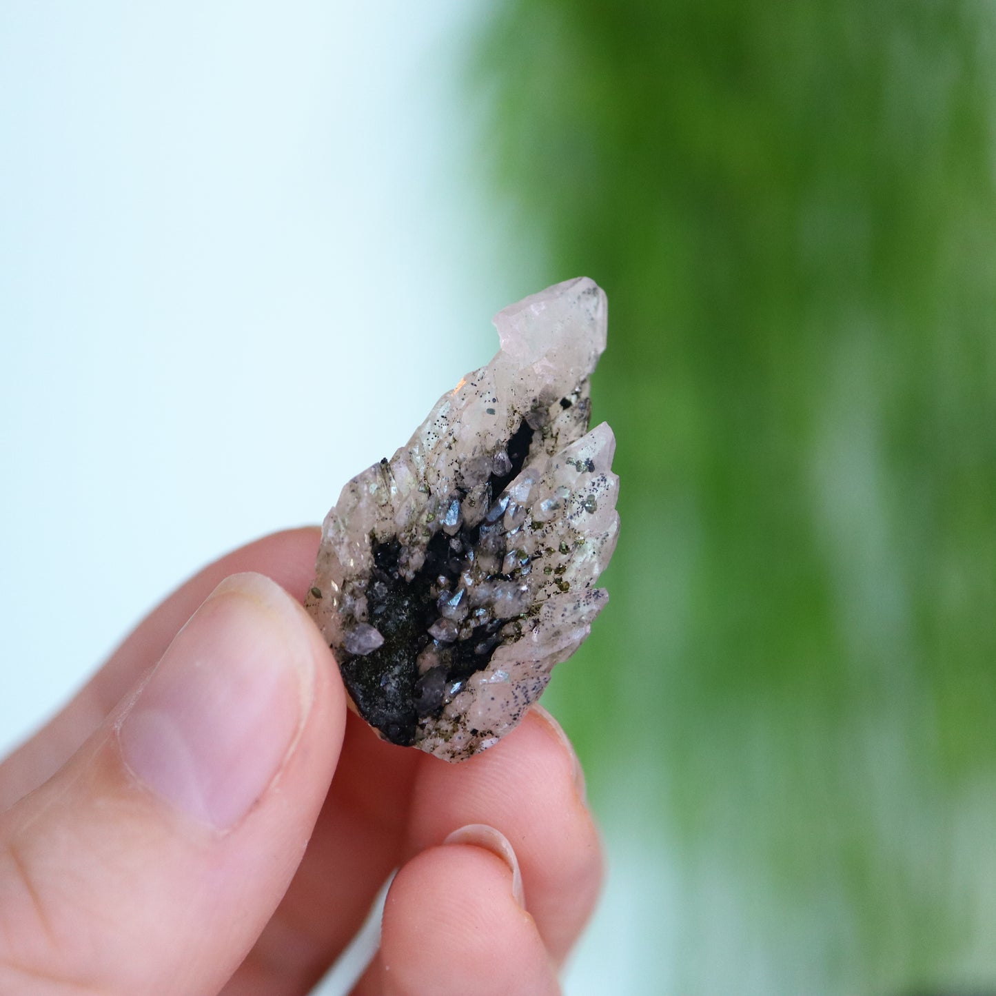 Feather calciet met pyriet UV