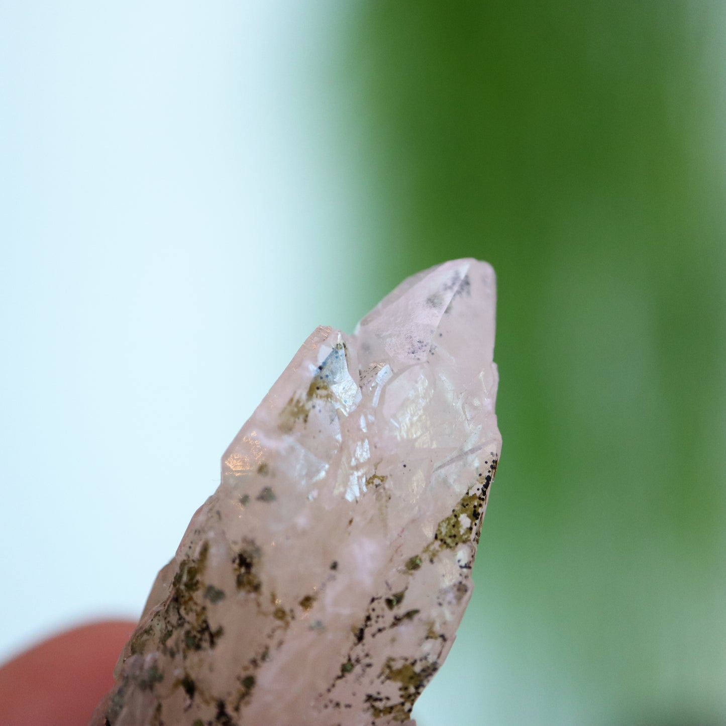 Feather calciet met pyriet UV