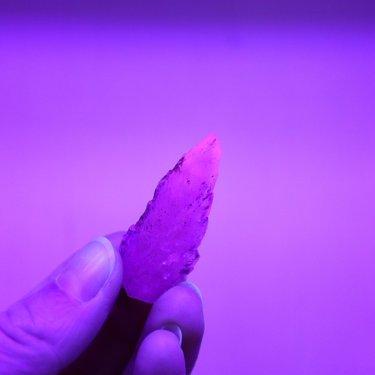 Feather calciet met pyriet UV