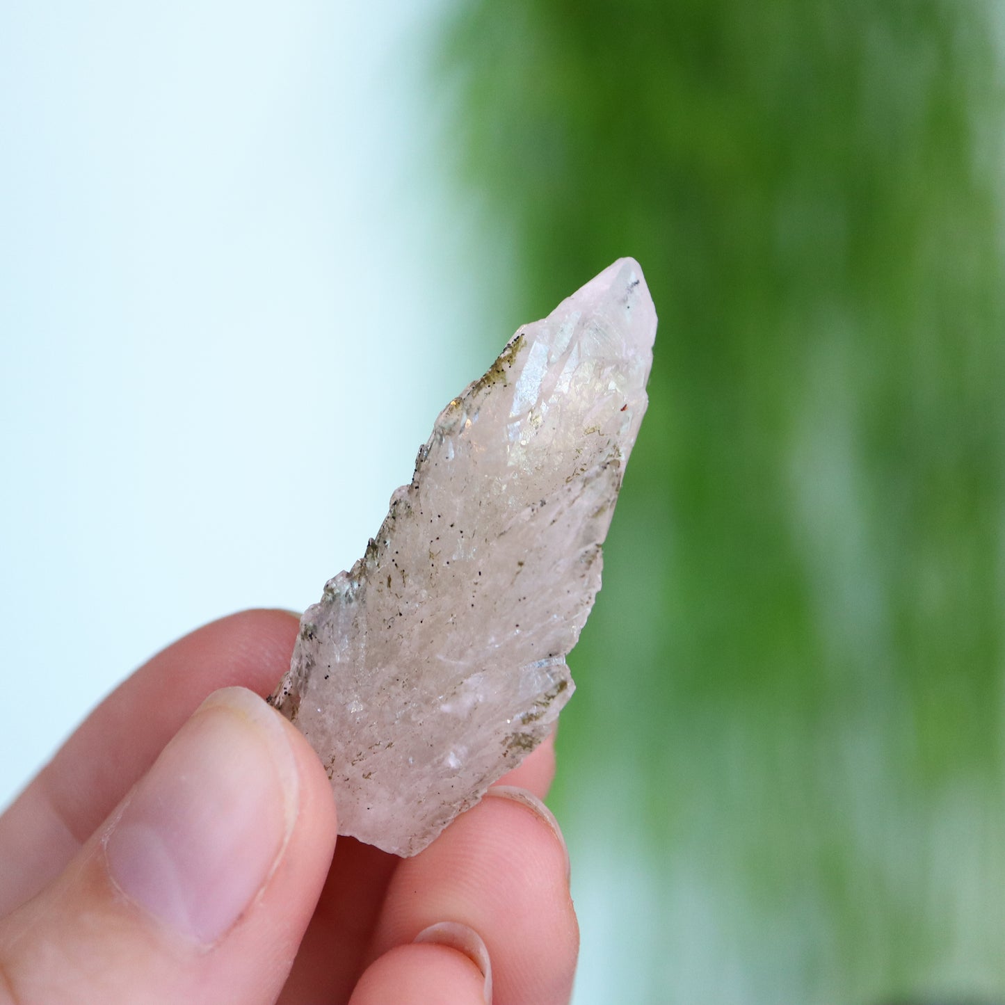 Feather calciet met pyriet UV