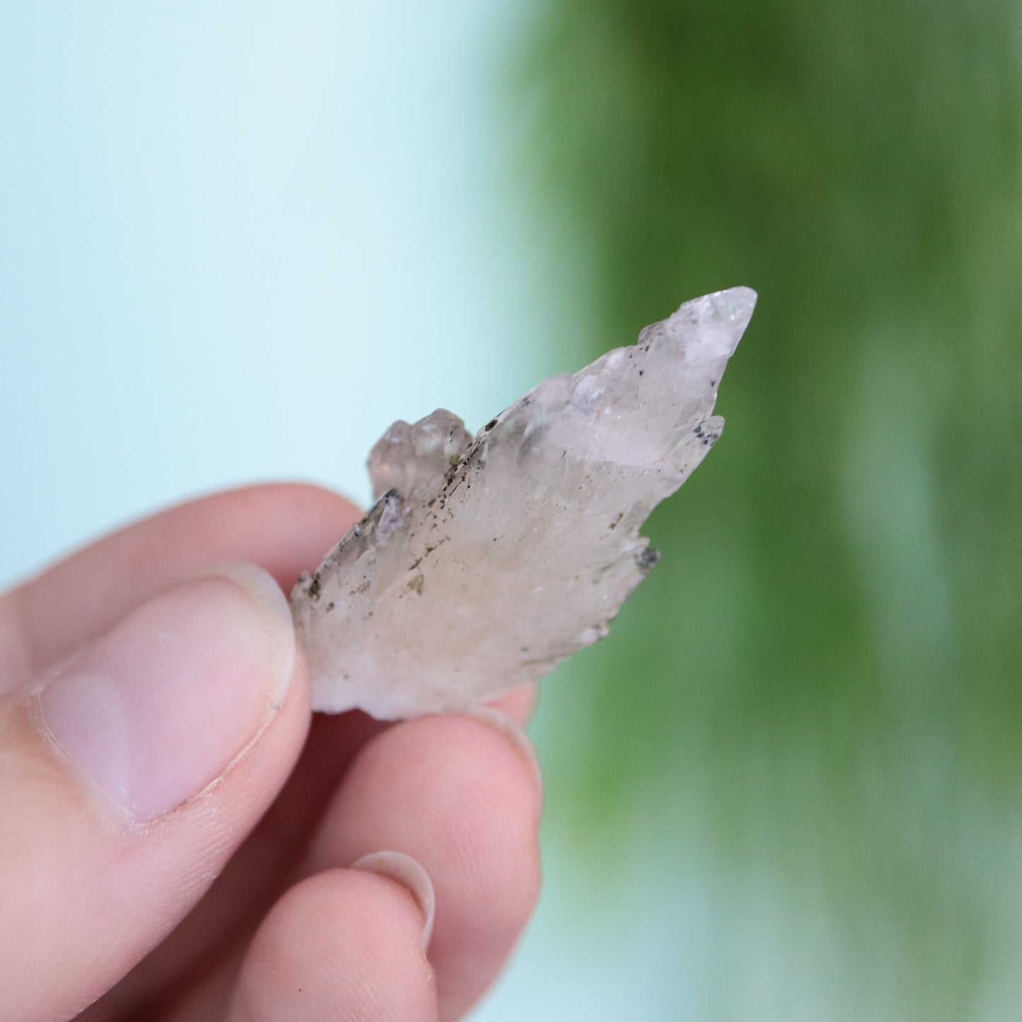 Feather calciet met pyriet UV