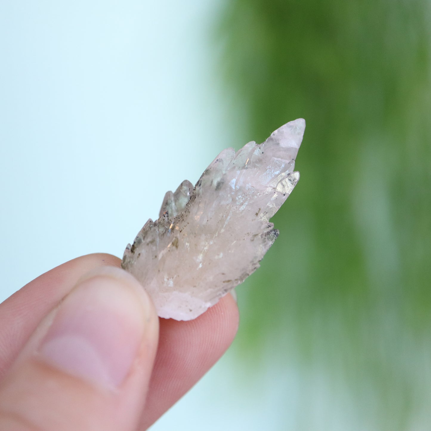 Feather calciet met pyriet UV