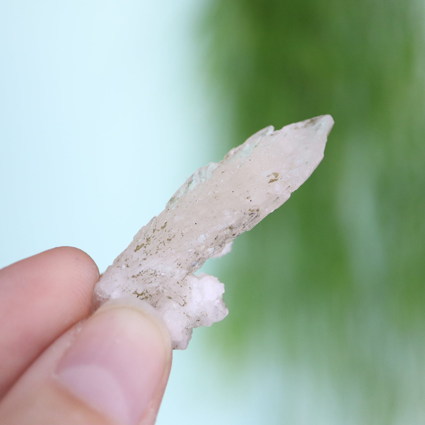 Feather calciet met pyriet UV