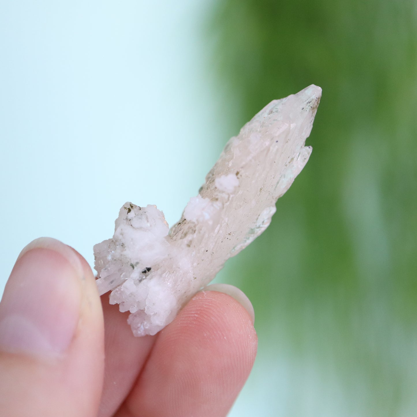 Feather calciet met pyriet UV
