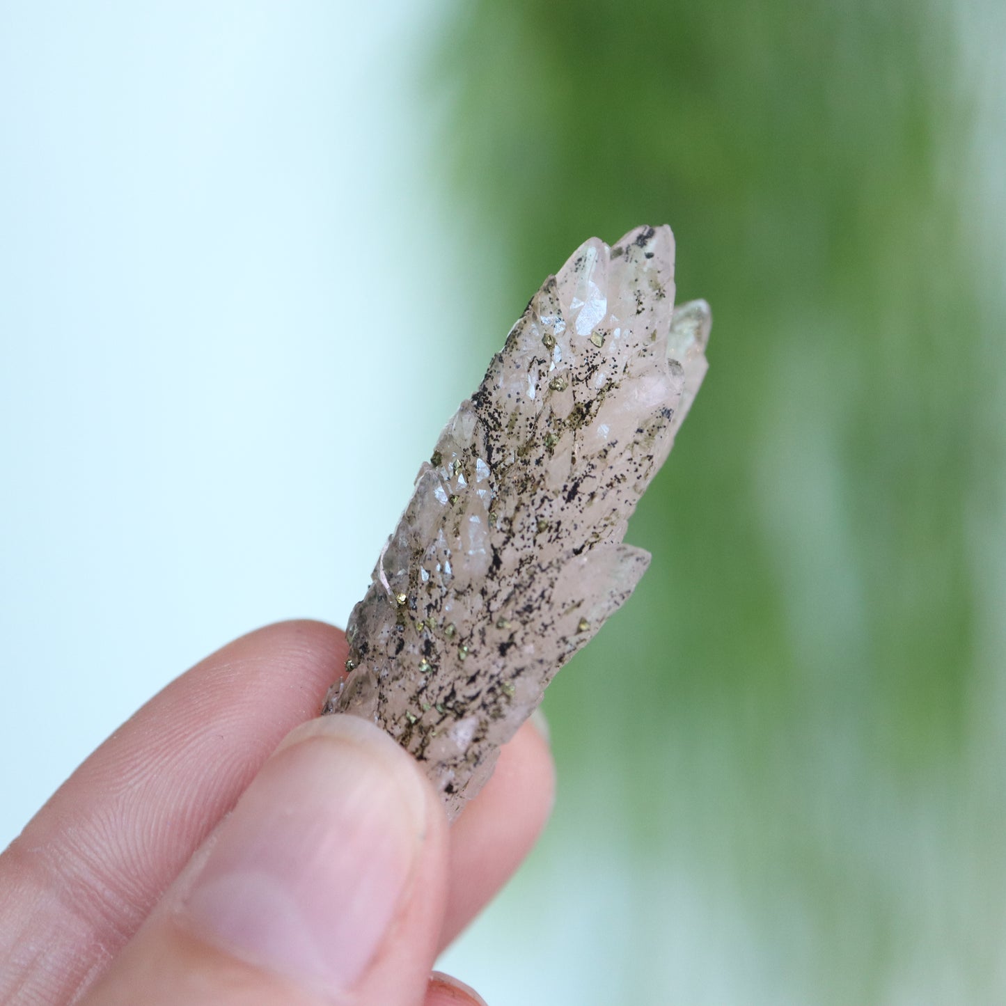 Feather calciet met pyriet UV