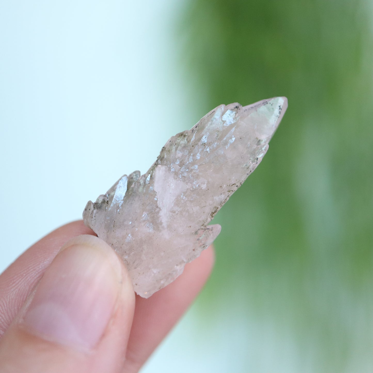 Feather calciet met pyriet UV