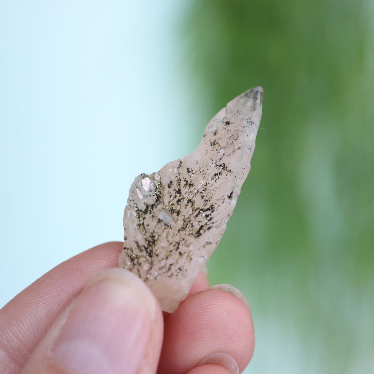 Feather calciet met pyriet UV