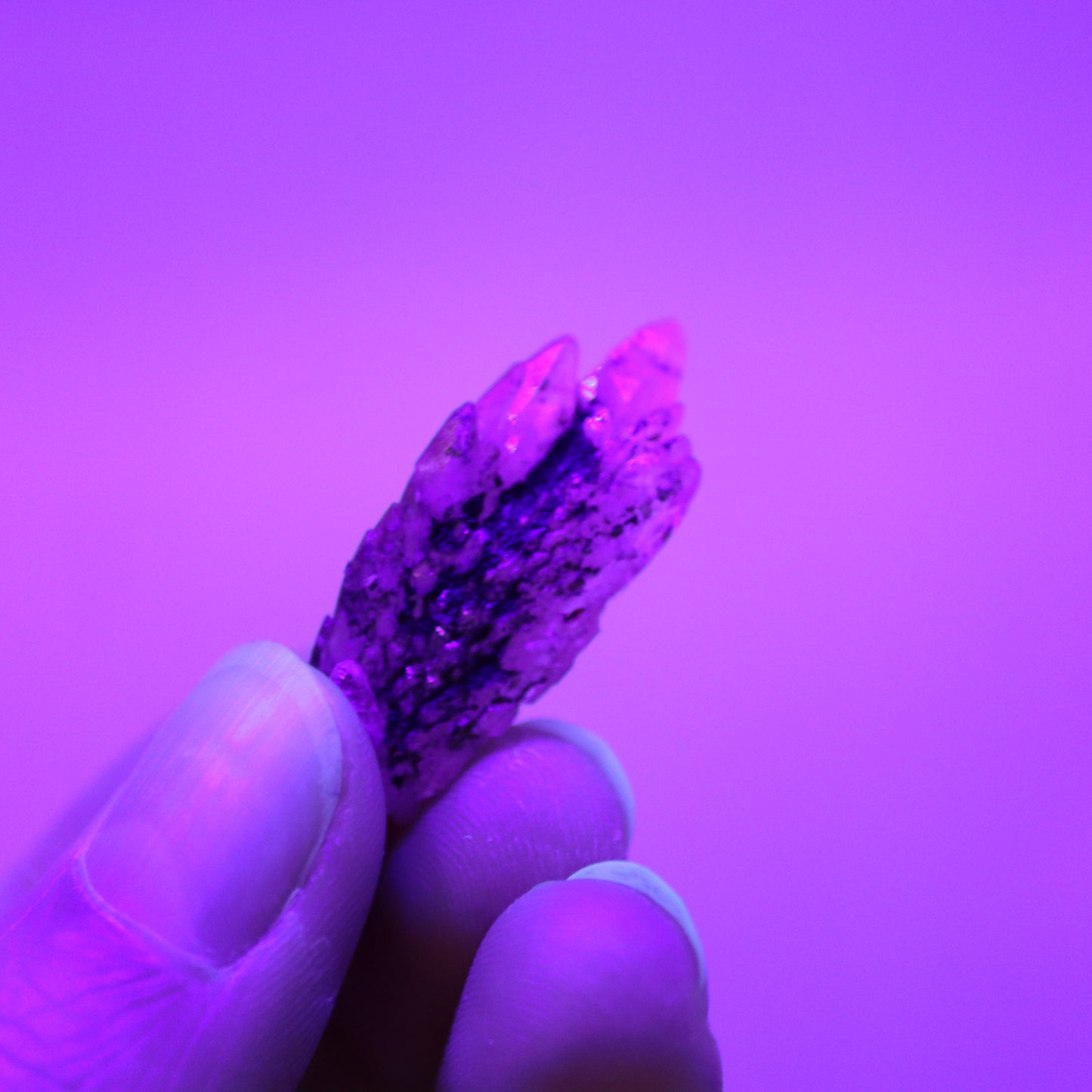 Feather calciet met pyriet UV