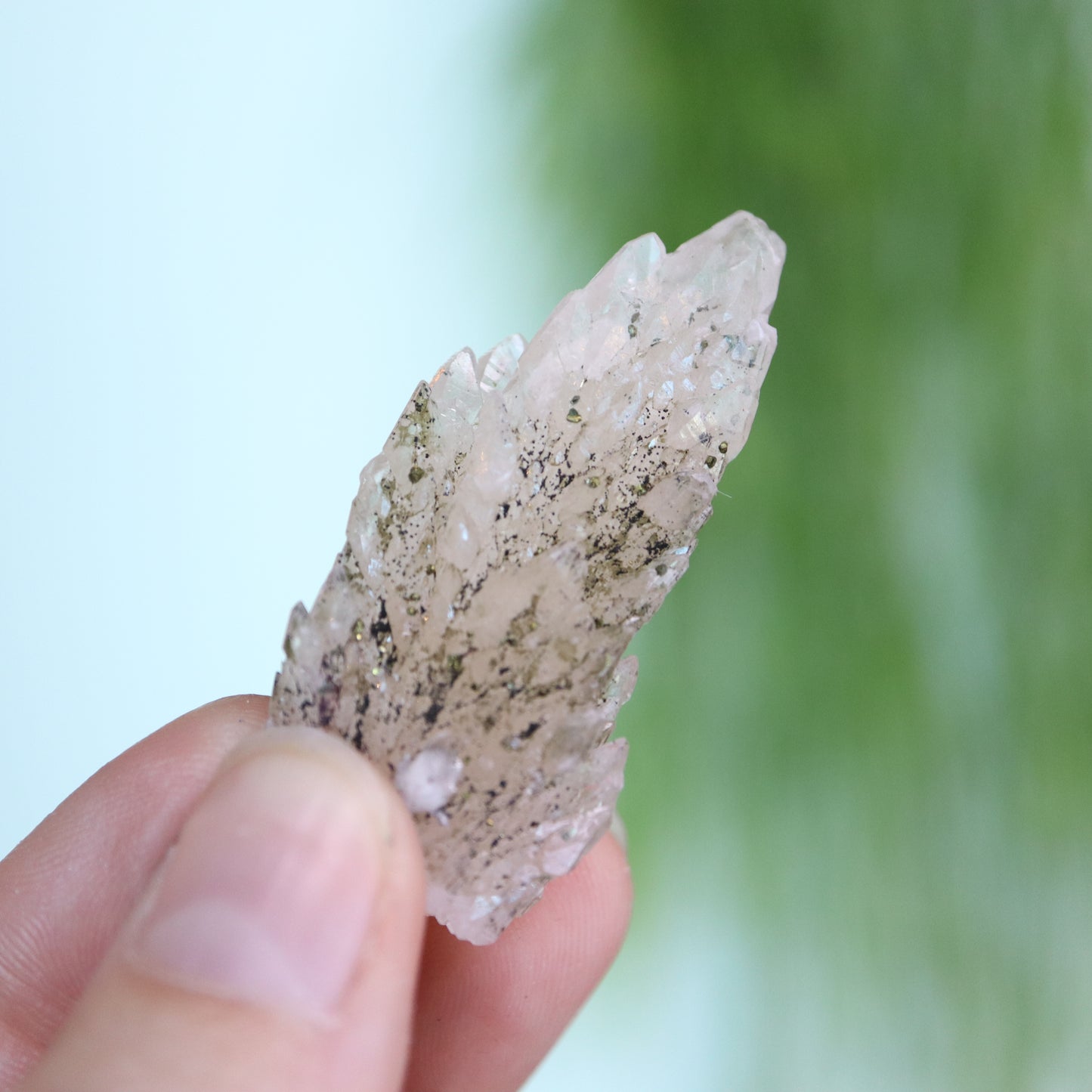 Feather calciet met pyriet UV
