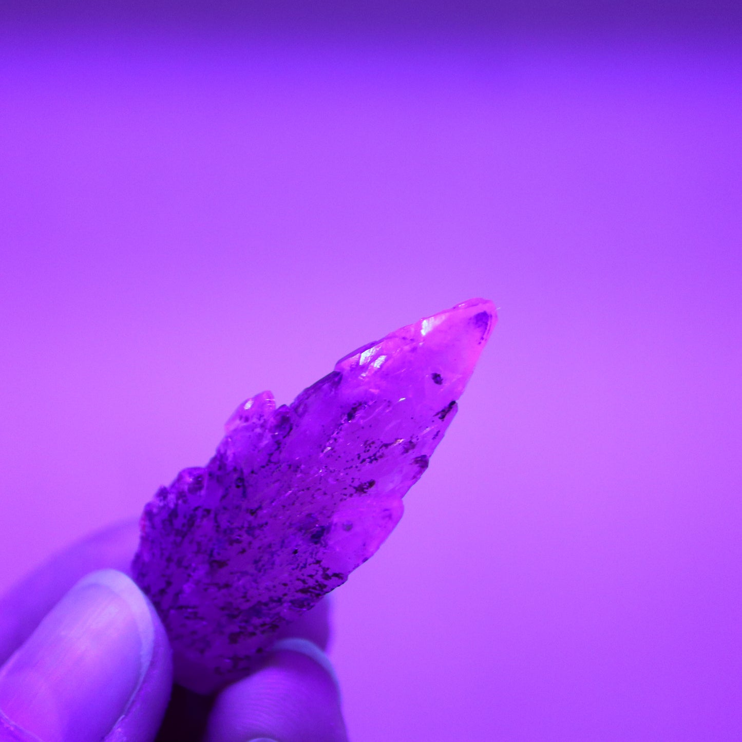 Feather calciet met pyriet UV