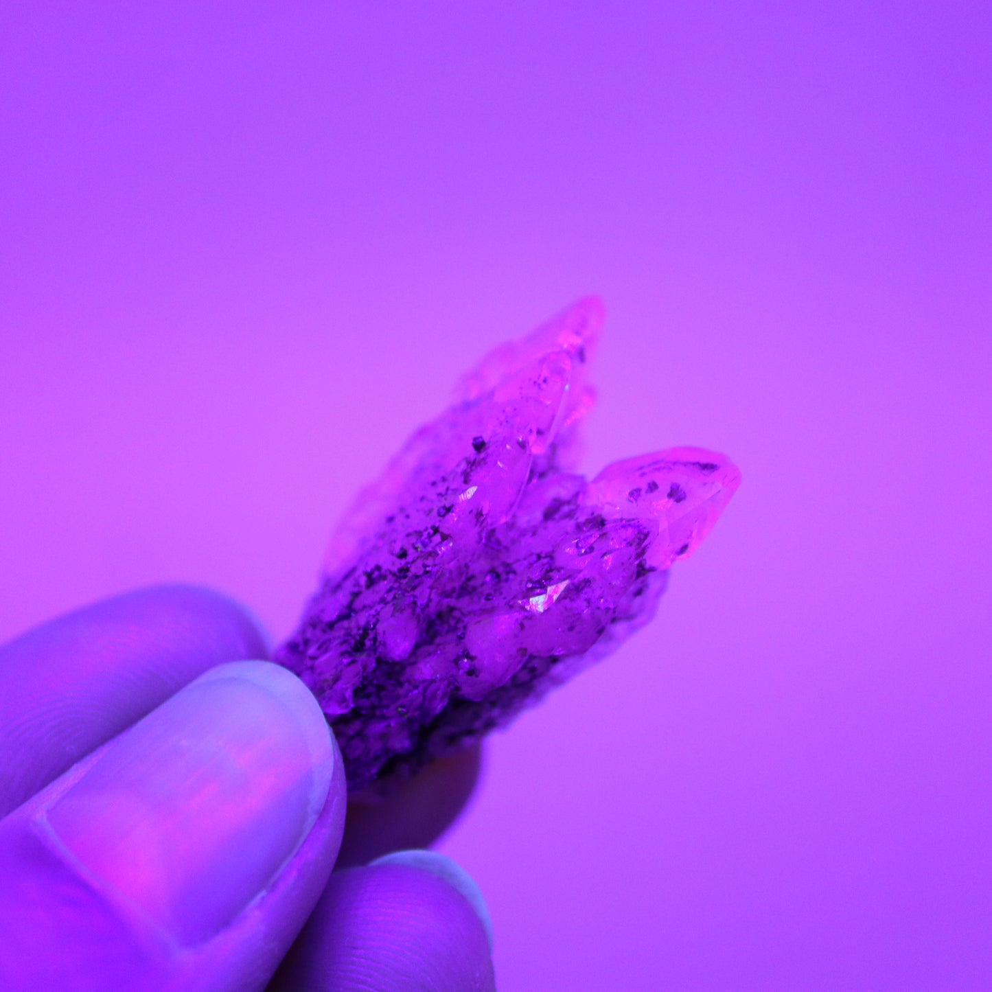 Feather calciet met pyriet UV