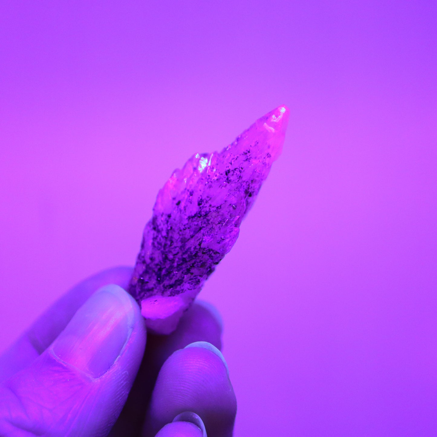 Feather calciet met pyriet UV