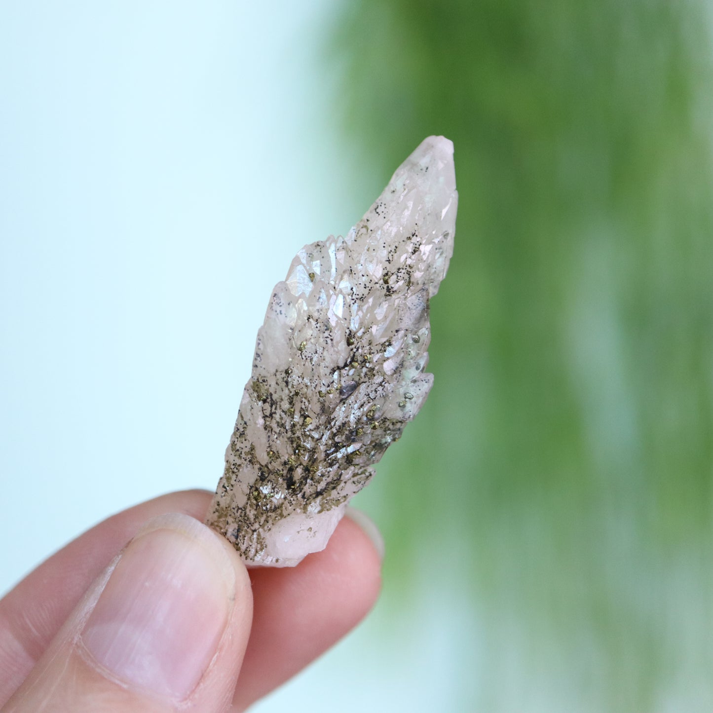 Feather calciet met pyriet UV