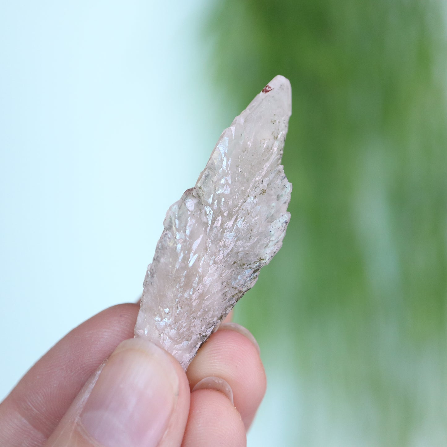 Feather calciet met pyriet UV