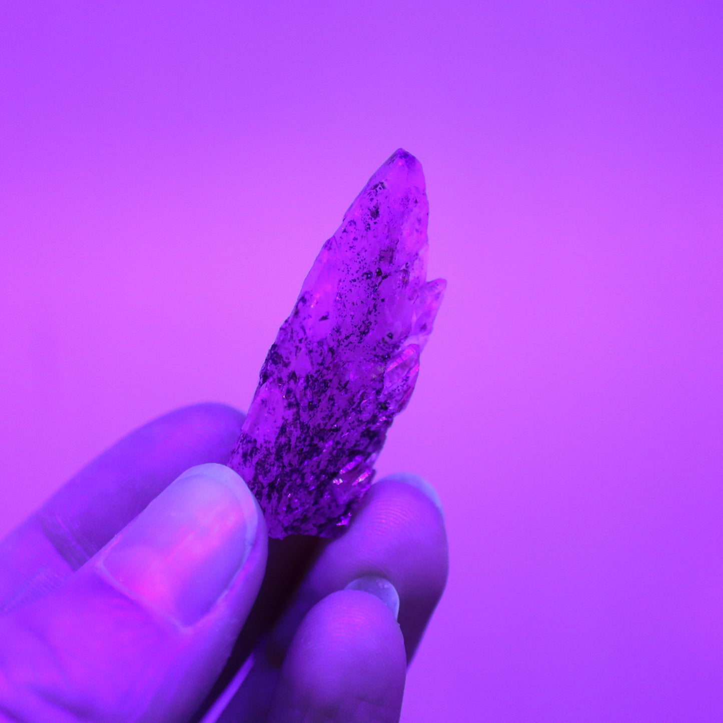 Feather calciet met pyriet UV