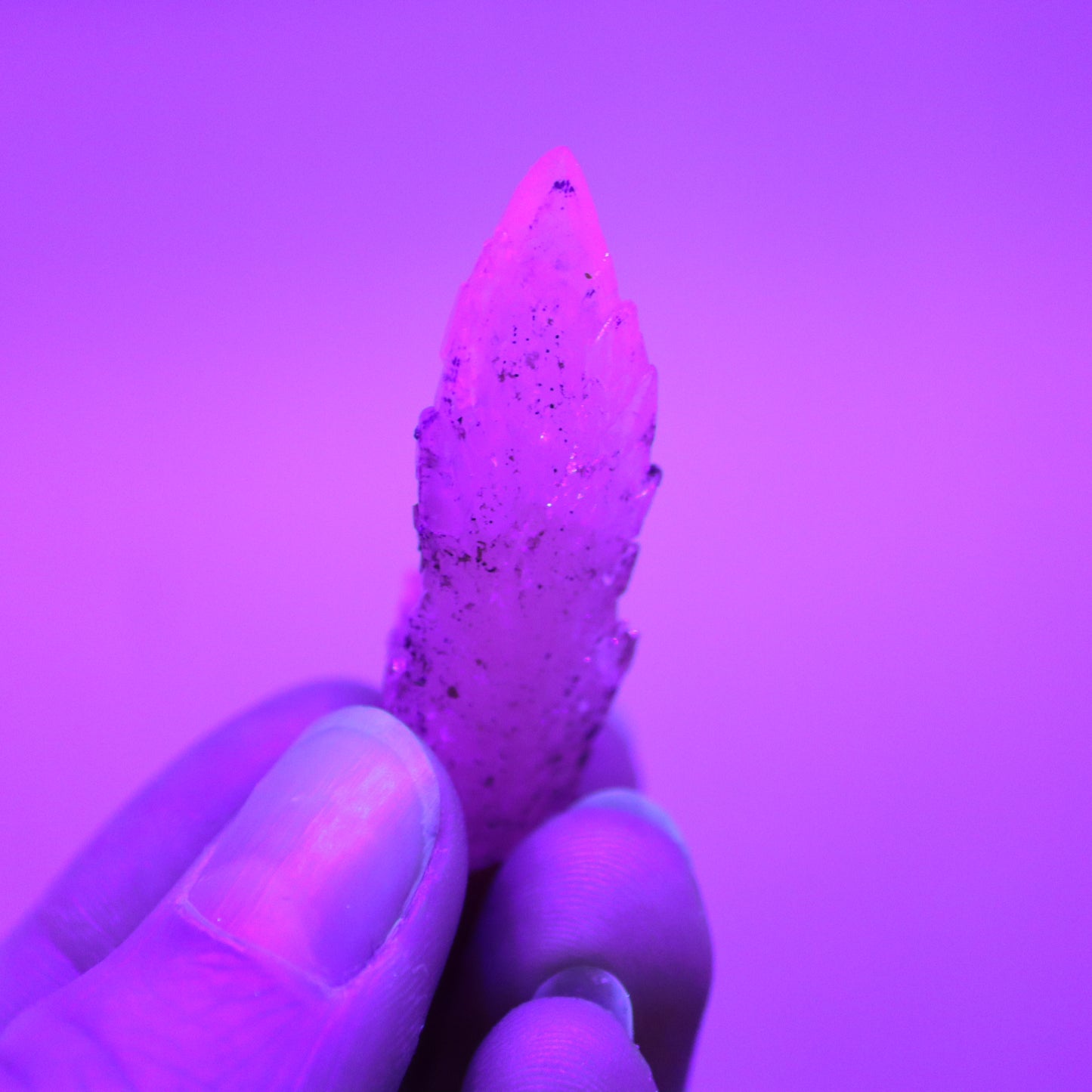 Feather calciet met pyriet UV